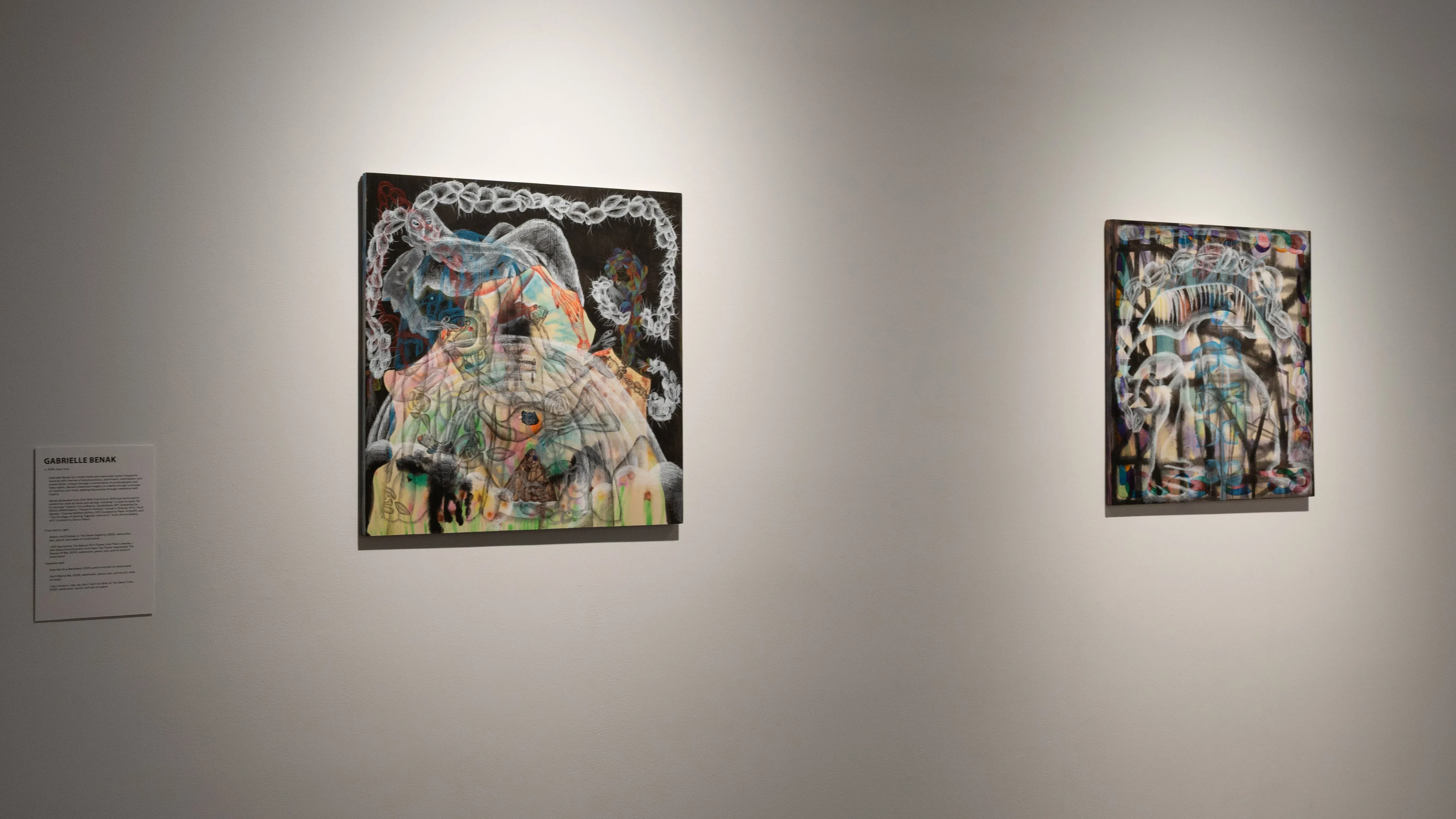 Wavelengths, Wavelengths at SVA Chelsea Gallery, photo 15