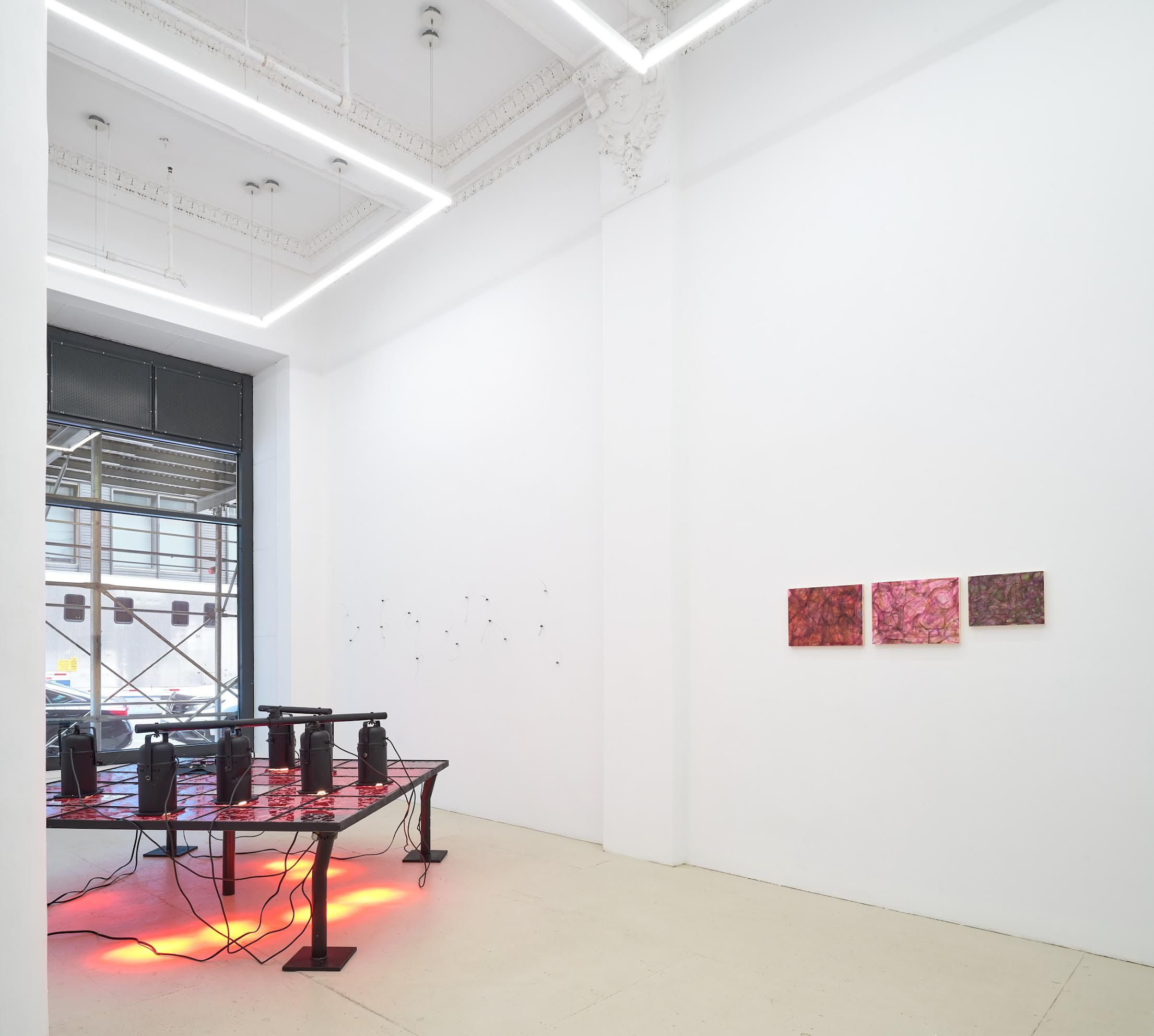 Eurhythmia, Eurhythmia at Silke Lindner, photo 4