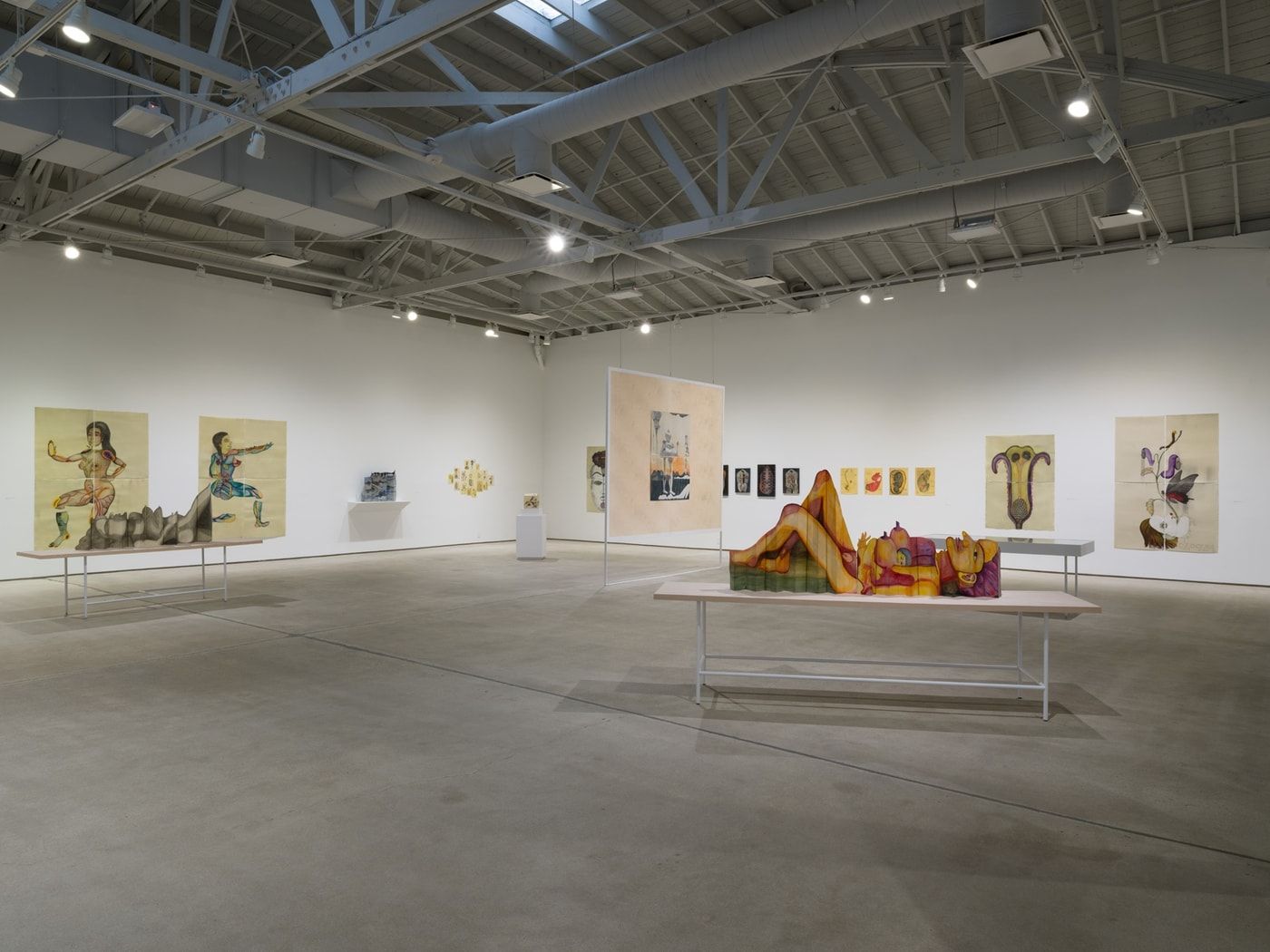 Sandra Vásquez de la Horra, The Awake Volcanoes at ICA LA, photo 2