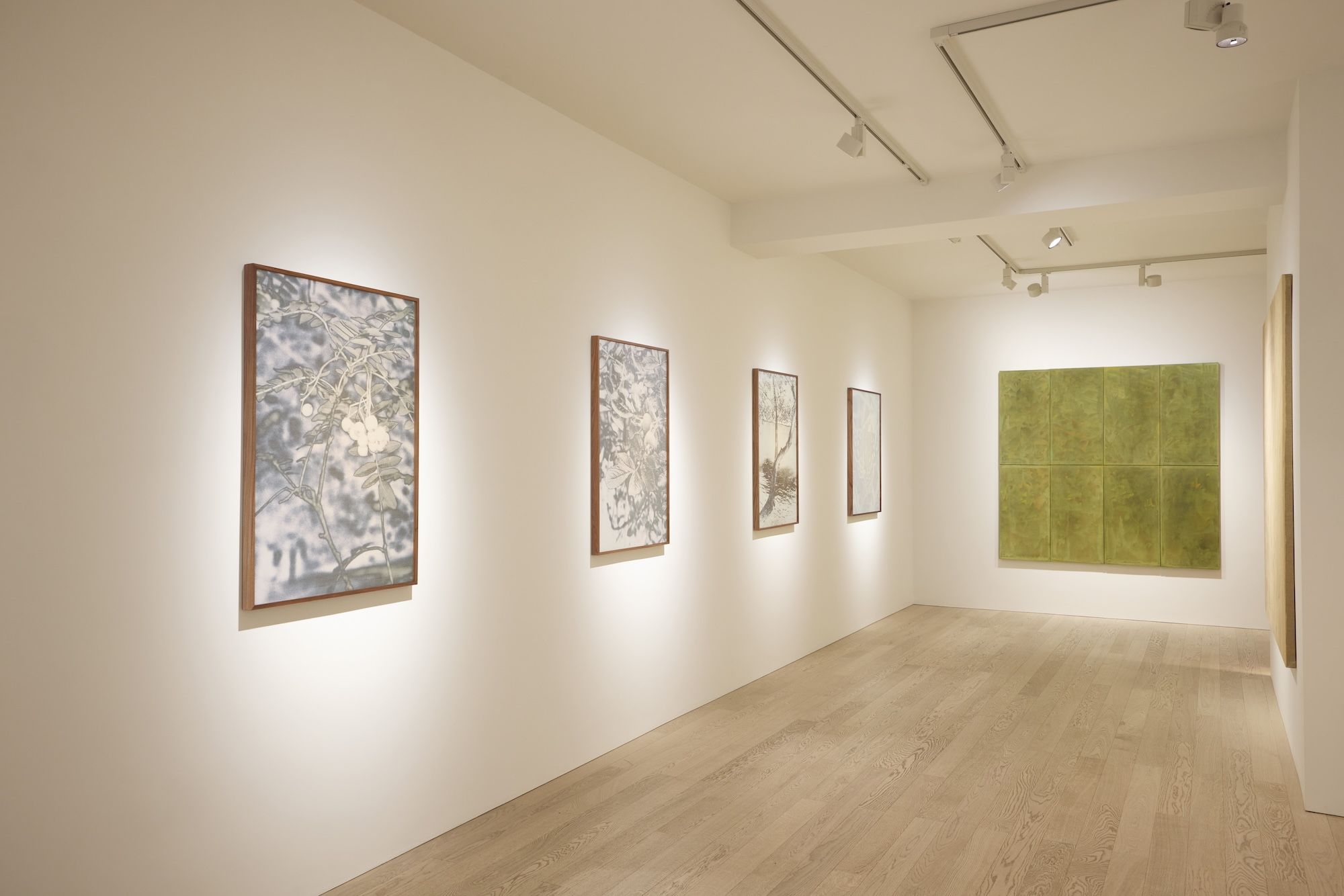 Xiaochi Dong & Feiyi Wen, The Garden and the Gaze at Albion Jeune, photo 2