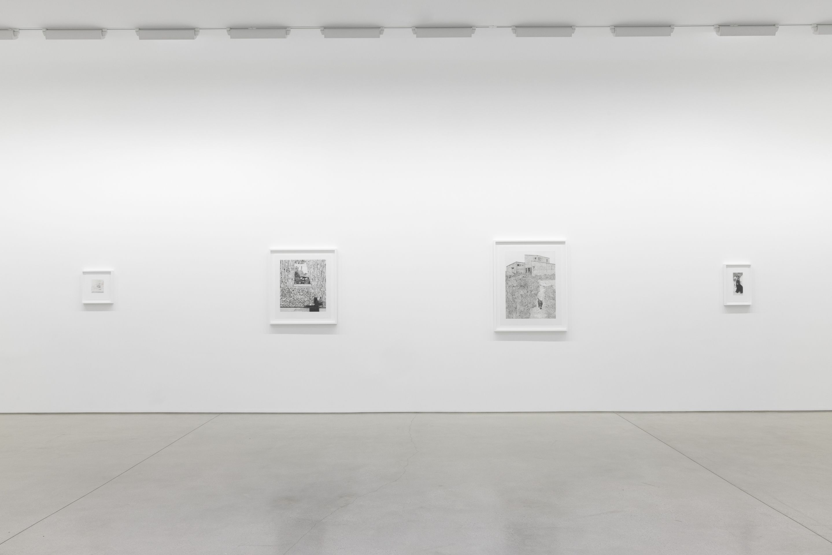 Jonas Wood, Plants and Animals at David Kordansky Gallery, photo 17