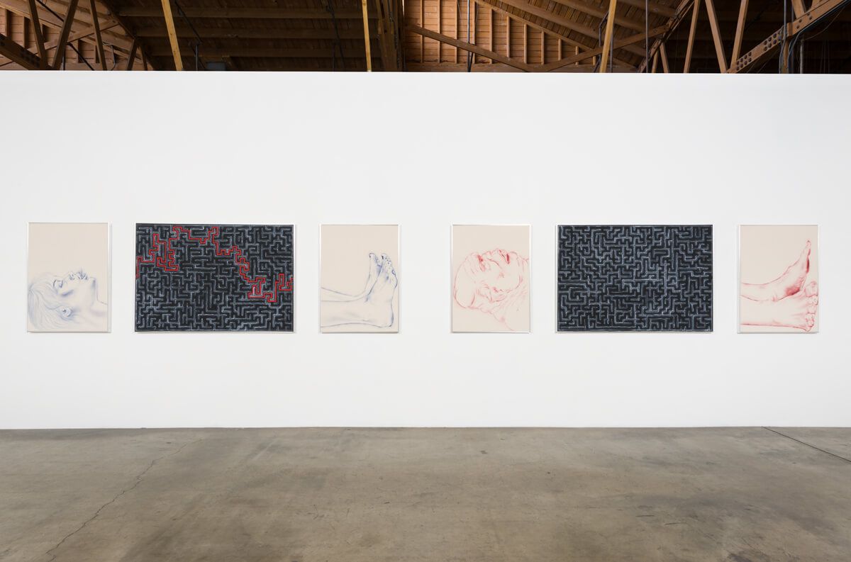 Zoe Barcza, Dr. Awkward at François Ghebaly, photo 2