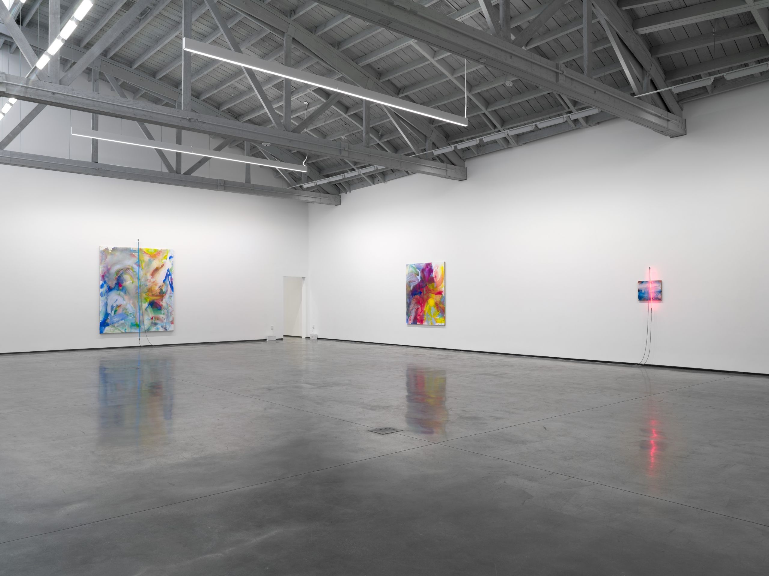 Mary Weatherford, Mountains Mud Prisms Air at David Kordansky Gallery, photo 2