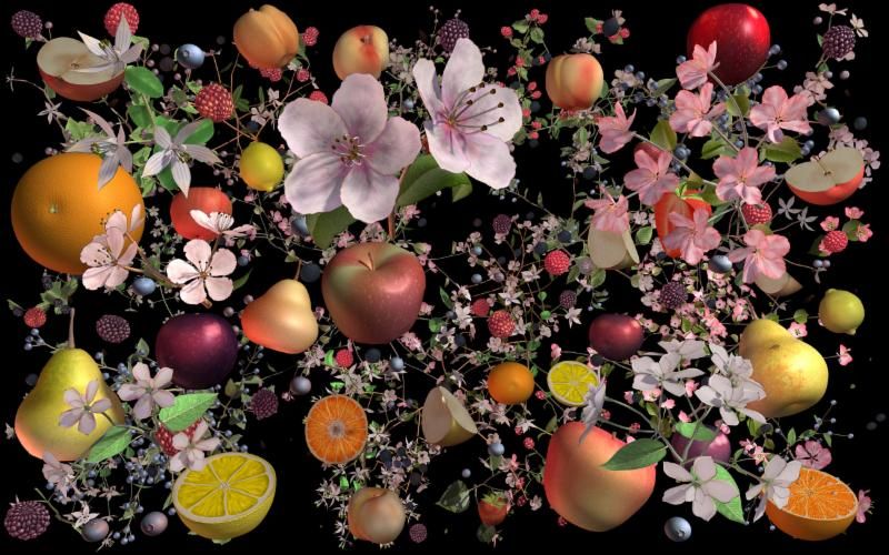 Jennifer Steinkamp, Still-Life at Acme, photo 2