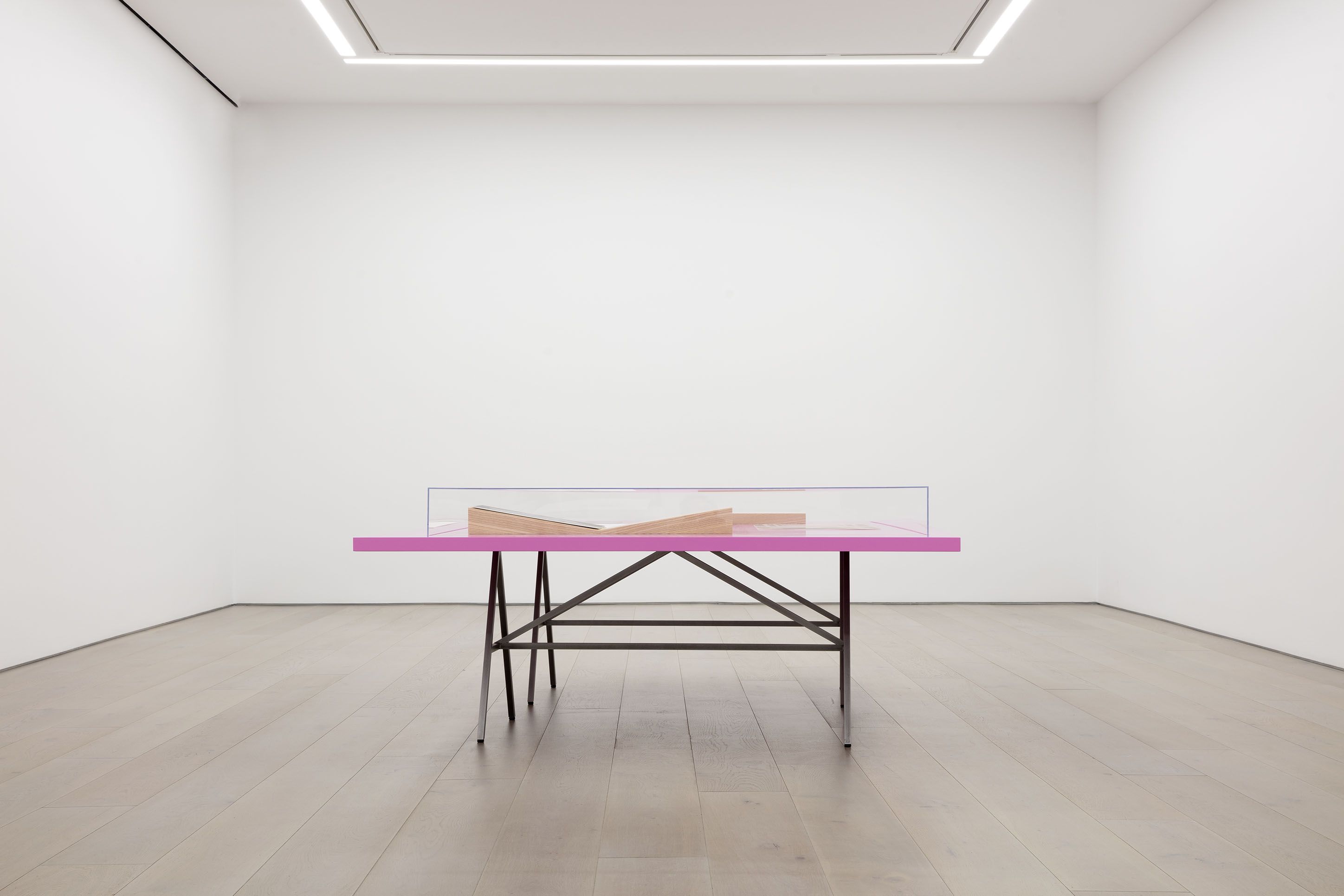 Leslie Hewitt, Anatomy of a Flower and Other Studio Experiments at Perrotin, photo 2