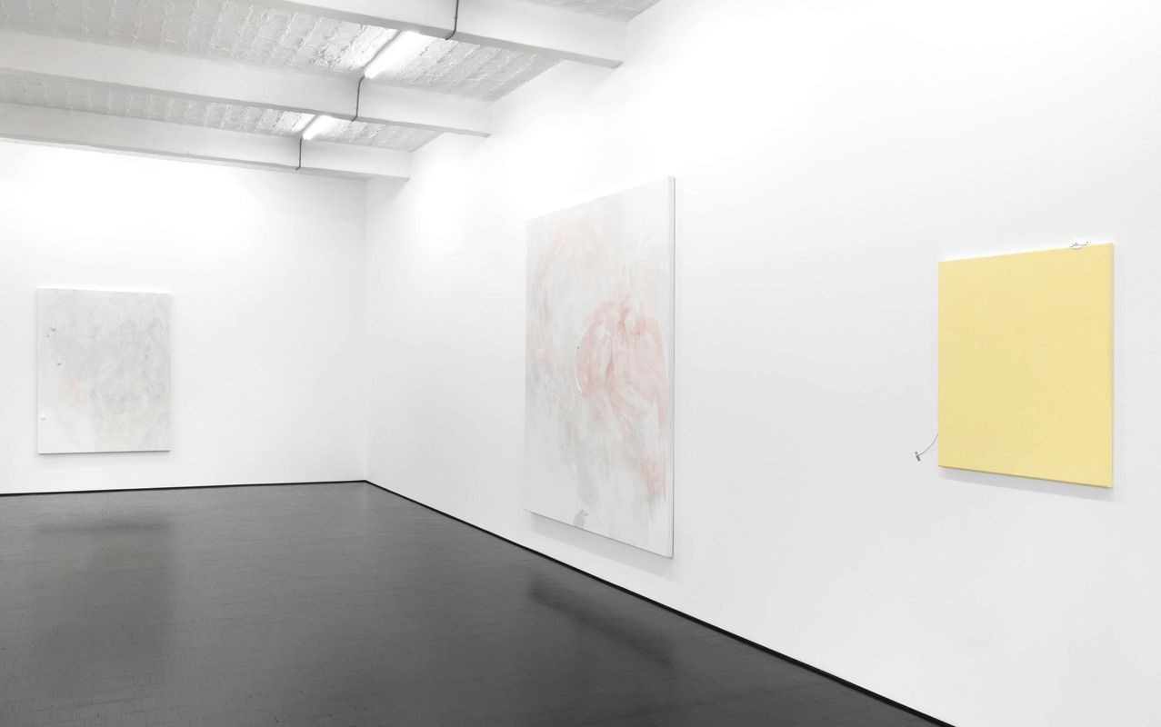 Monika Baer, Die Einholung at Barbara Weiss, photo 3