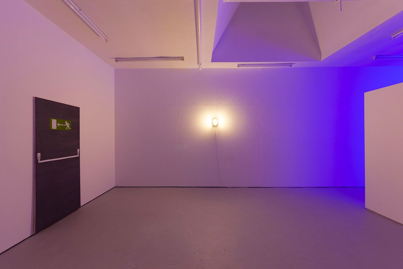 Richard Sides, Invisible World at Carlos/Ishikawa, photo 8