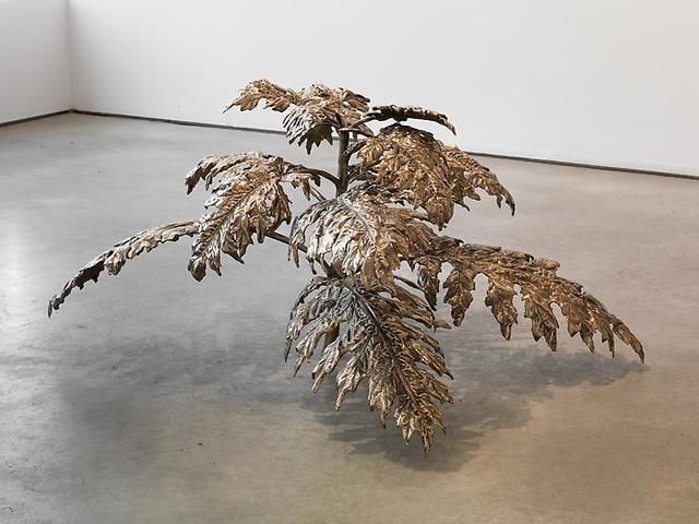 David Hartt, The Republic at David Nolan, photo 2