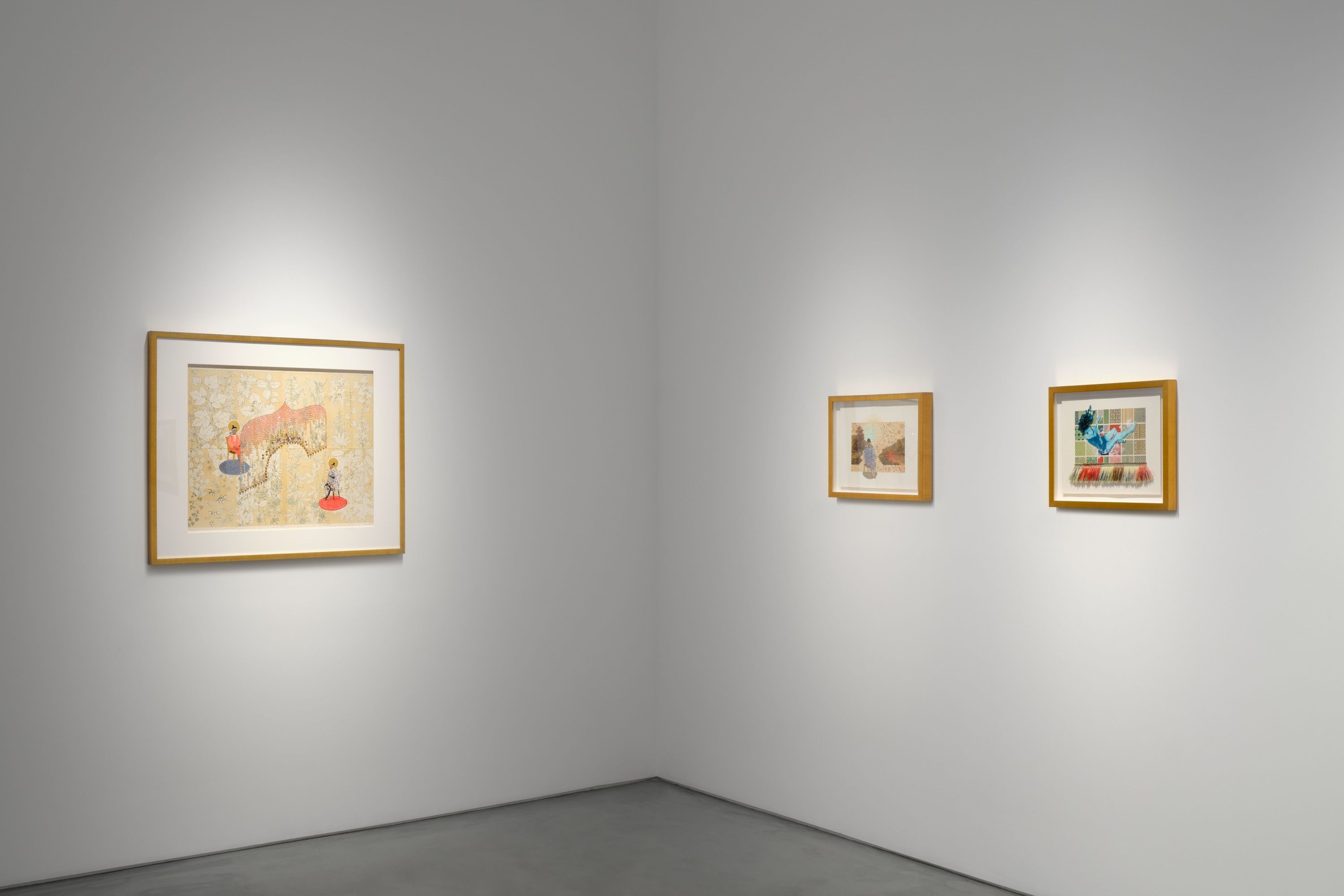 Suchitra Mattai, Fables, Guineps and the Sweetness of Unknowing at Roberts Projects, photo 2