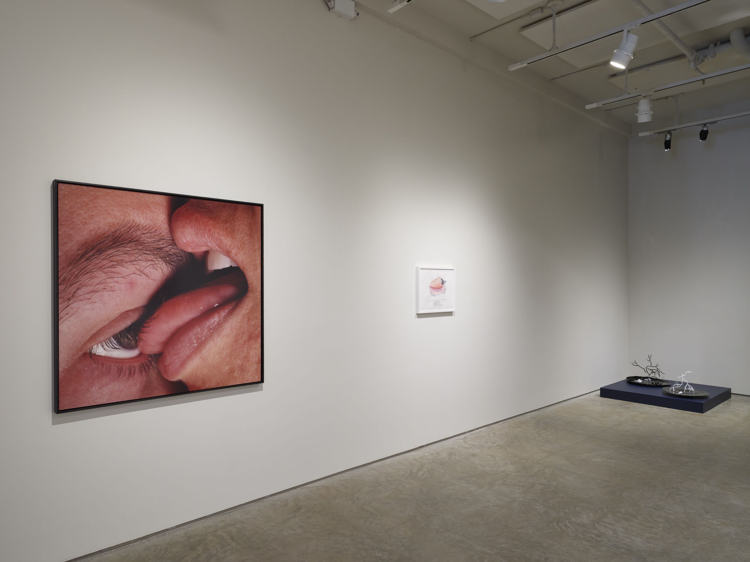 Common Sentience, Common Sentience at 601 Artspace, photo 3
