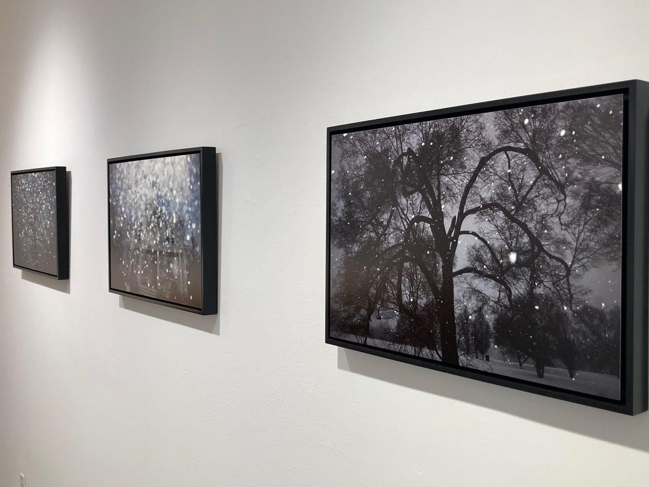 Elijah Gowin, Spirit and Shadow at Robert Mann Gallery, photo 4