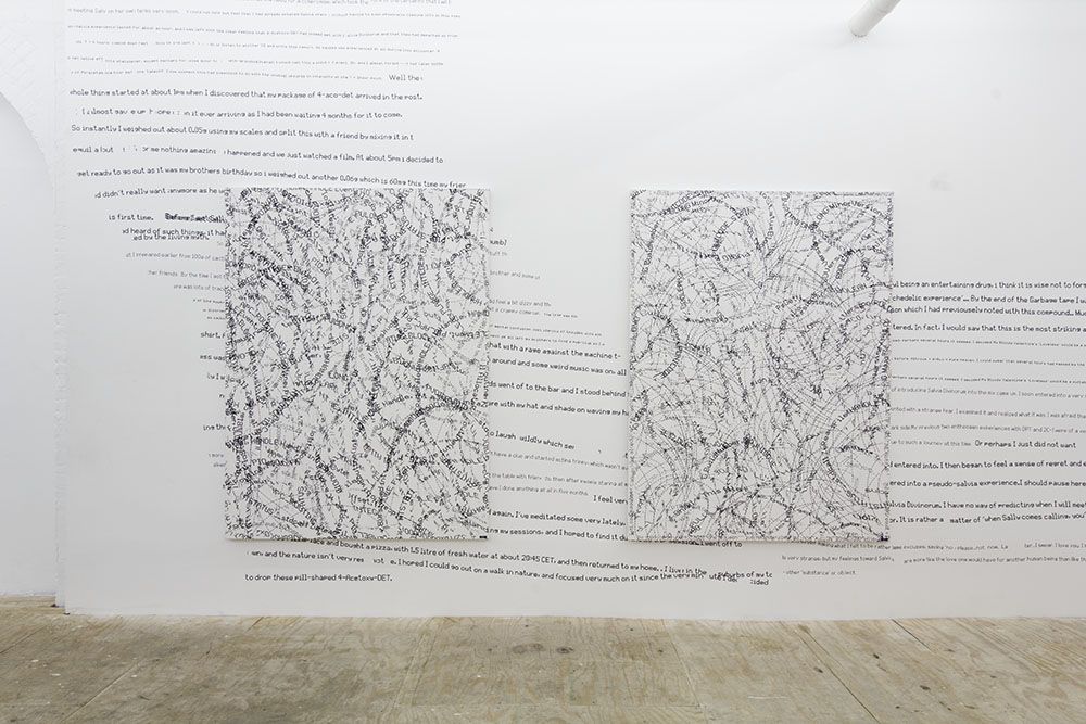 Jason Matthew Lee, Entropy at Eli Ping Frances Perkins, photo 5