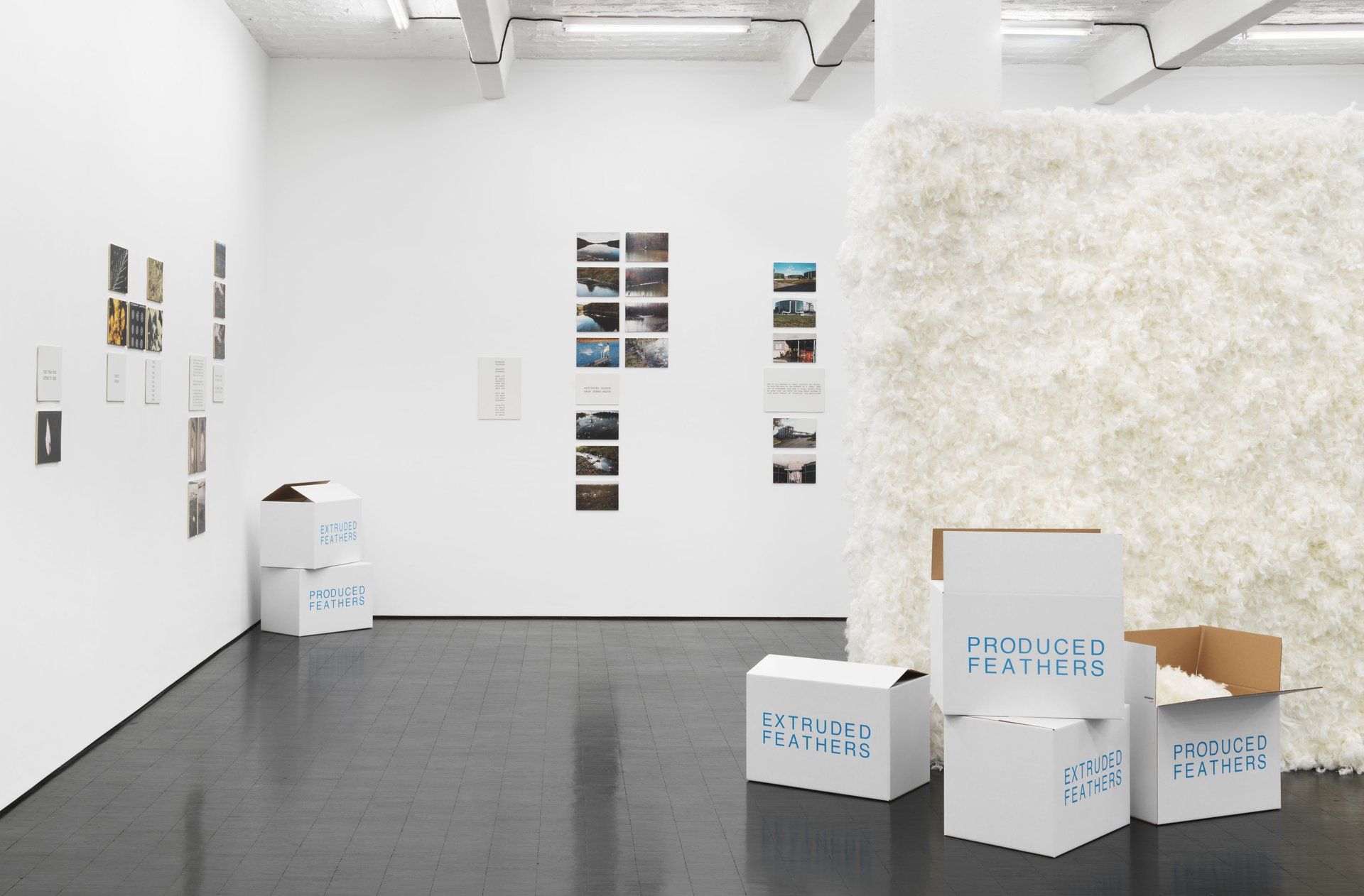 Peter Fend, Birds Reign at Barbara Weiss, photo 2