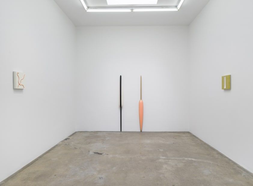 Lisa Williamson, Hover Land Lover at Tanya Bonakdar, photo 8