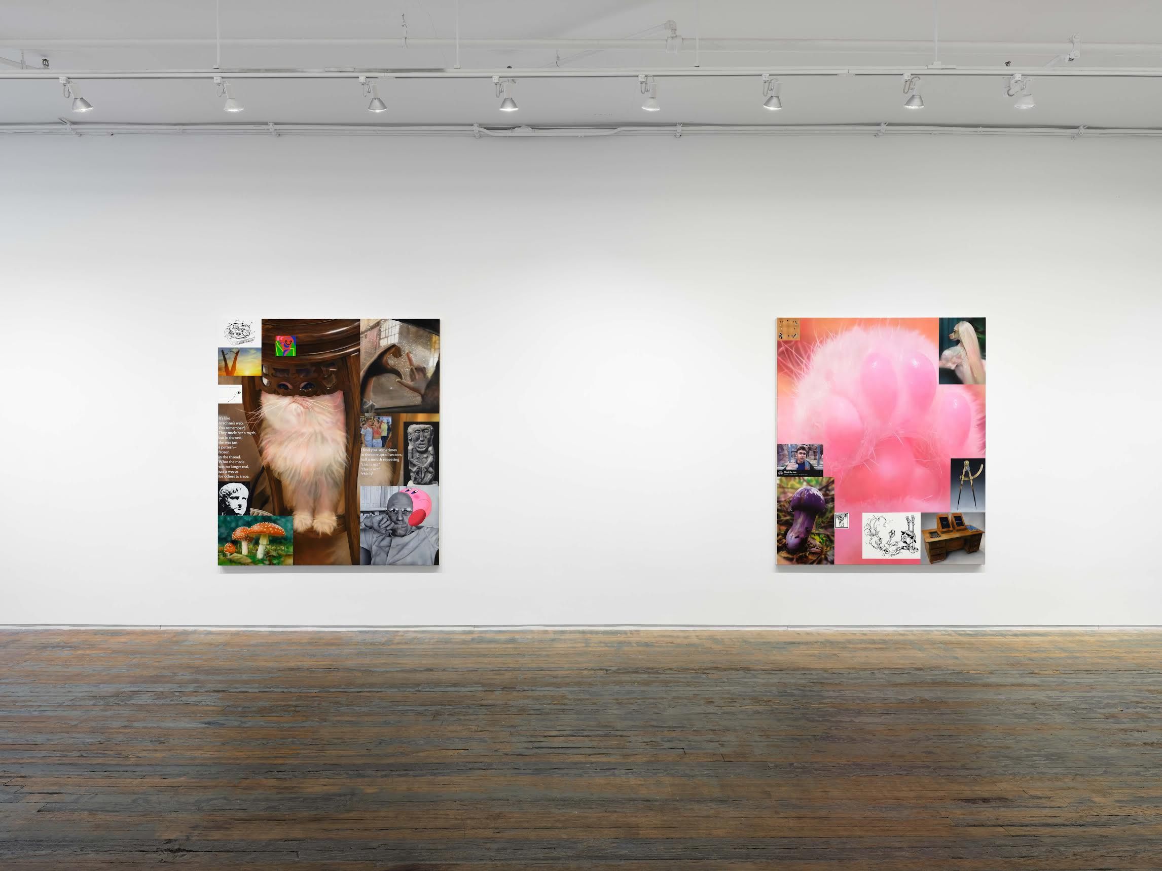 Craig Boagey, Spirit Economy at Amanita, photo 2