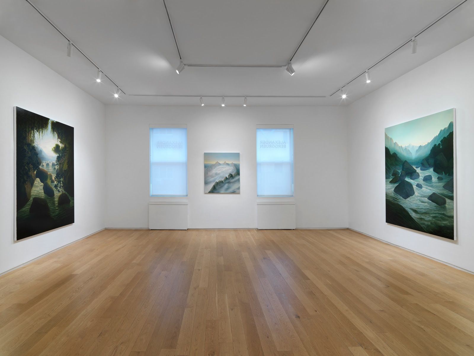 Sholto Blissett, The White Heat of Cold Water at Alexander Berggruen, photo 3