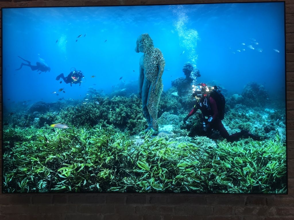 Damien Hirst, image 9 of 10