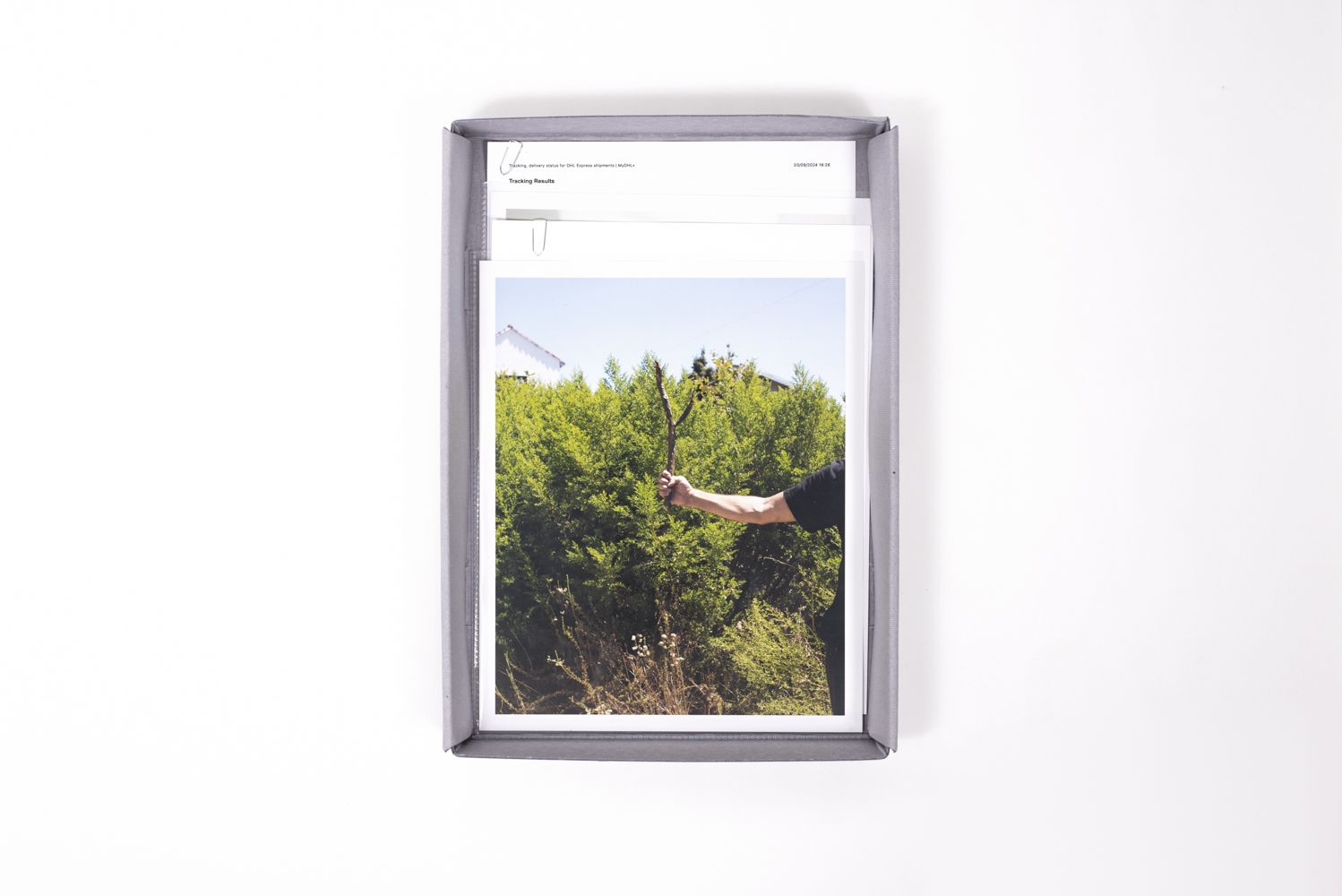 David Horvitz, Avenues All Lined With Trees at Jean-Kenta Gauthier | Vaugirard, photo 4