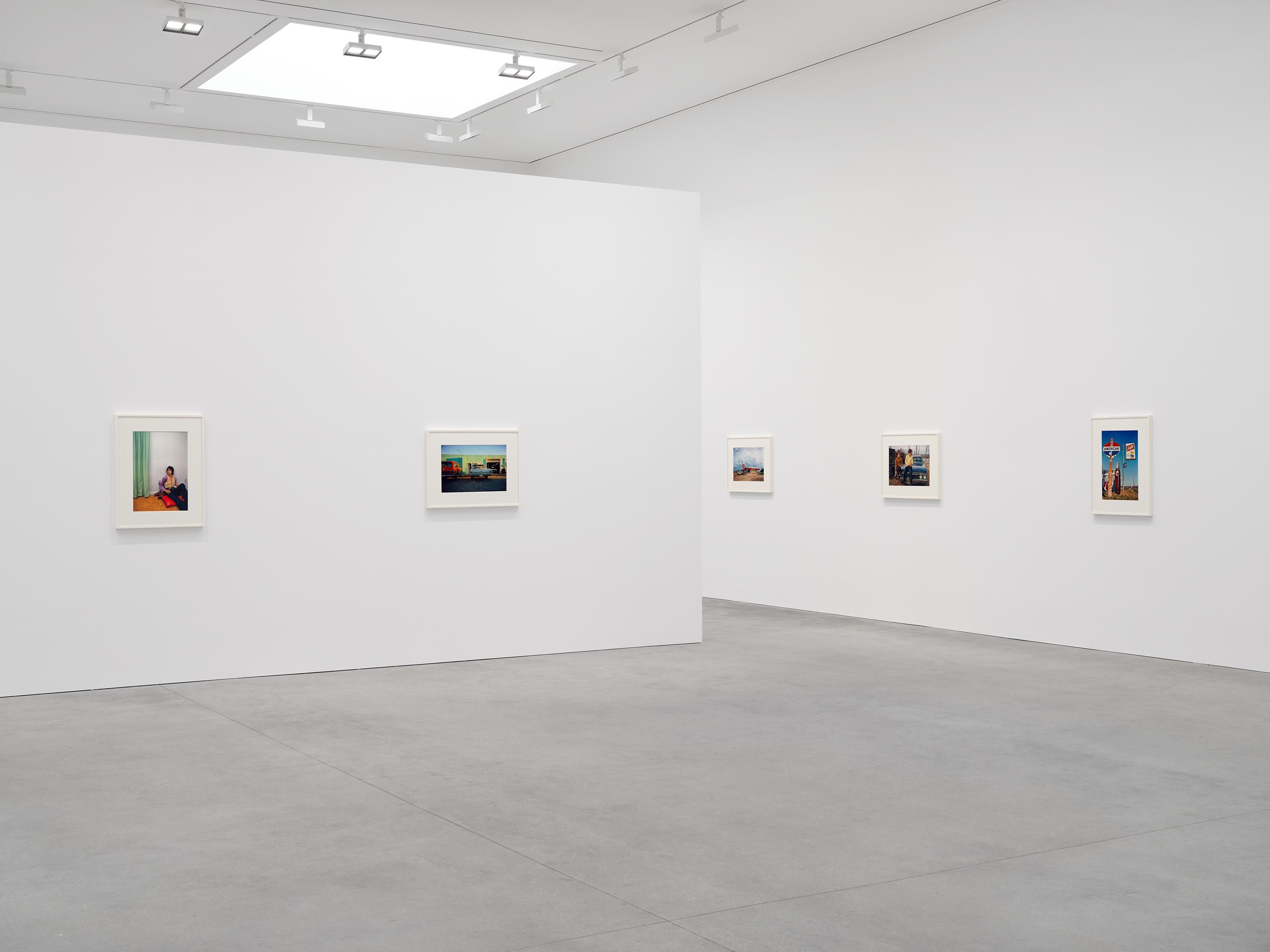 William Eggleston, The Last Dyes at David Zwirner, photo 6