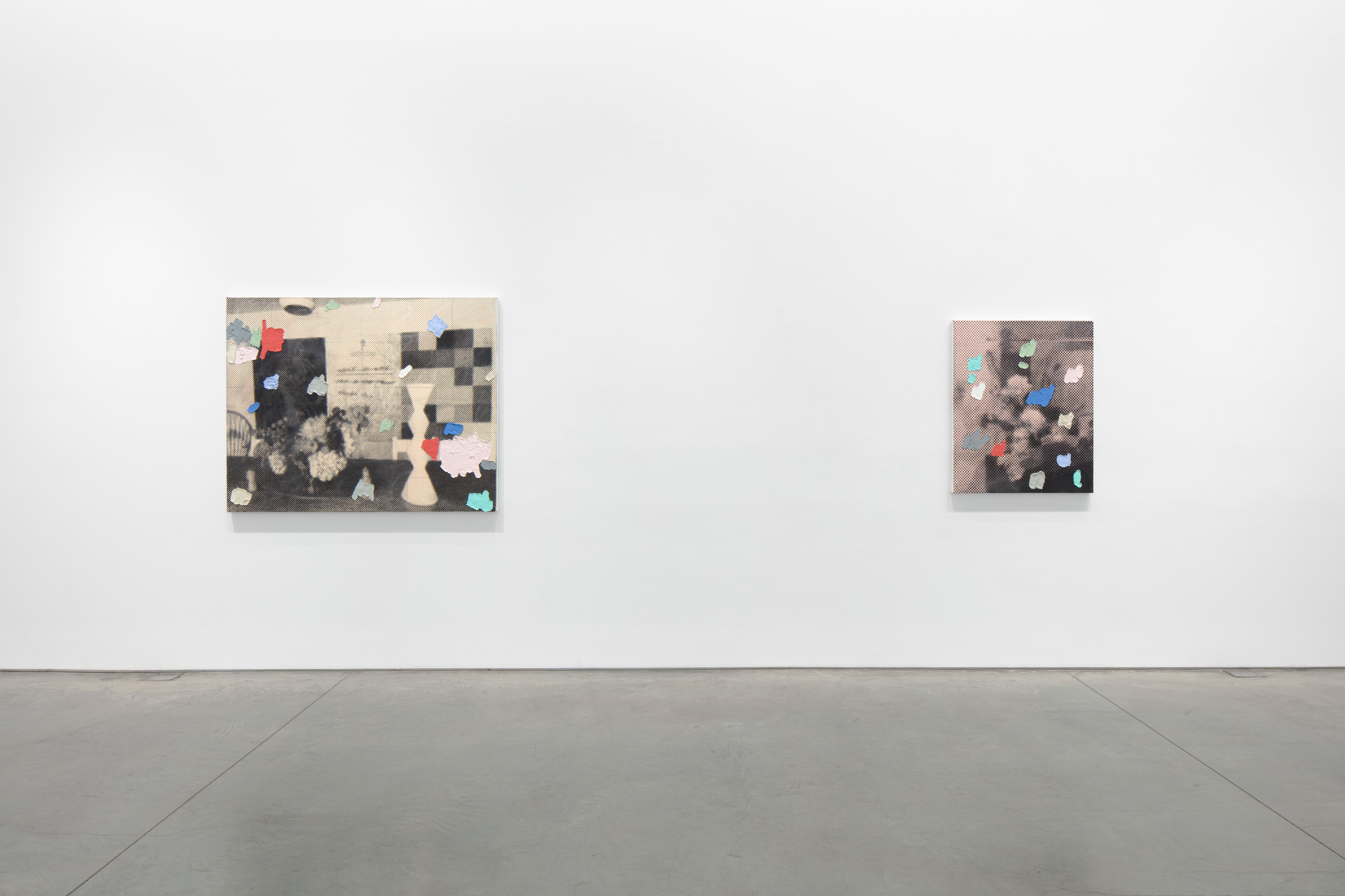 Dashiell Manley, Model ______ at Marianne Boesky Gallery, photo 8