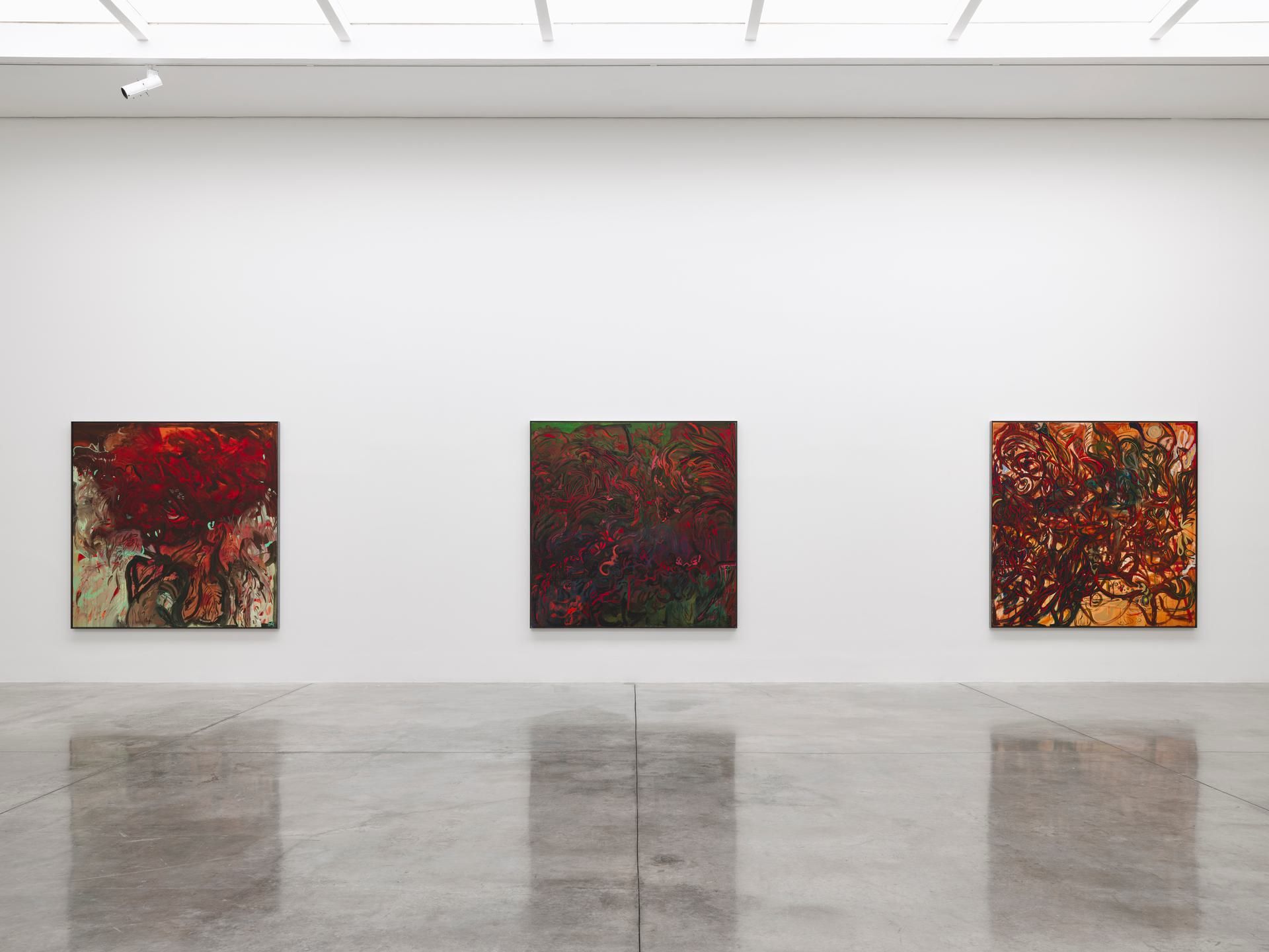 Alia Ahmad, Fields / ميادين at White Cube, photo 3