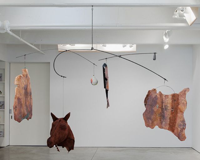 Anne Chu, Rubric for the Eye at Tracy Williams Ltd, photo 4