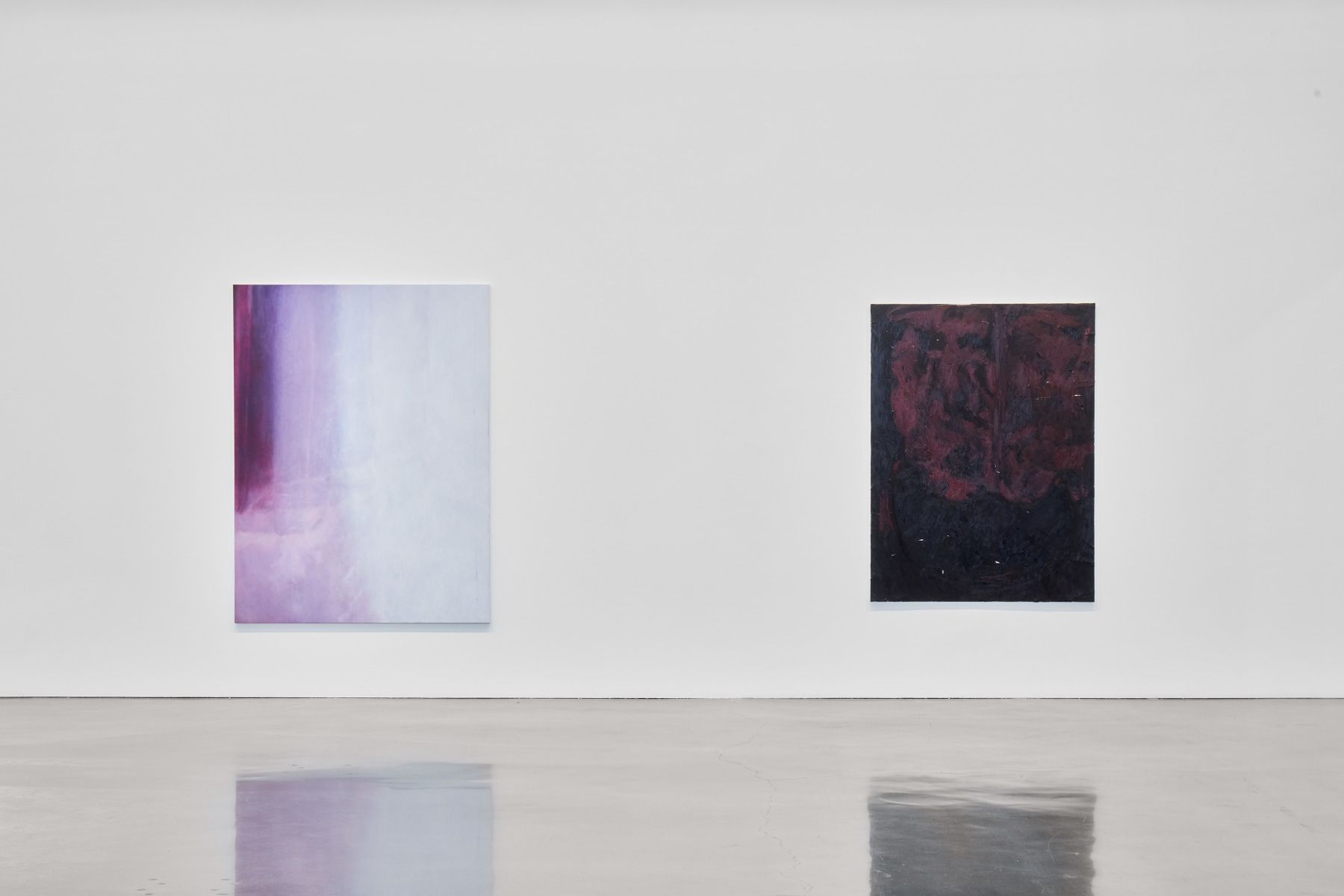 Sergej Jensen, The Adult Light at Regen Projects, photo 8