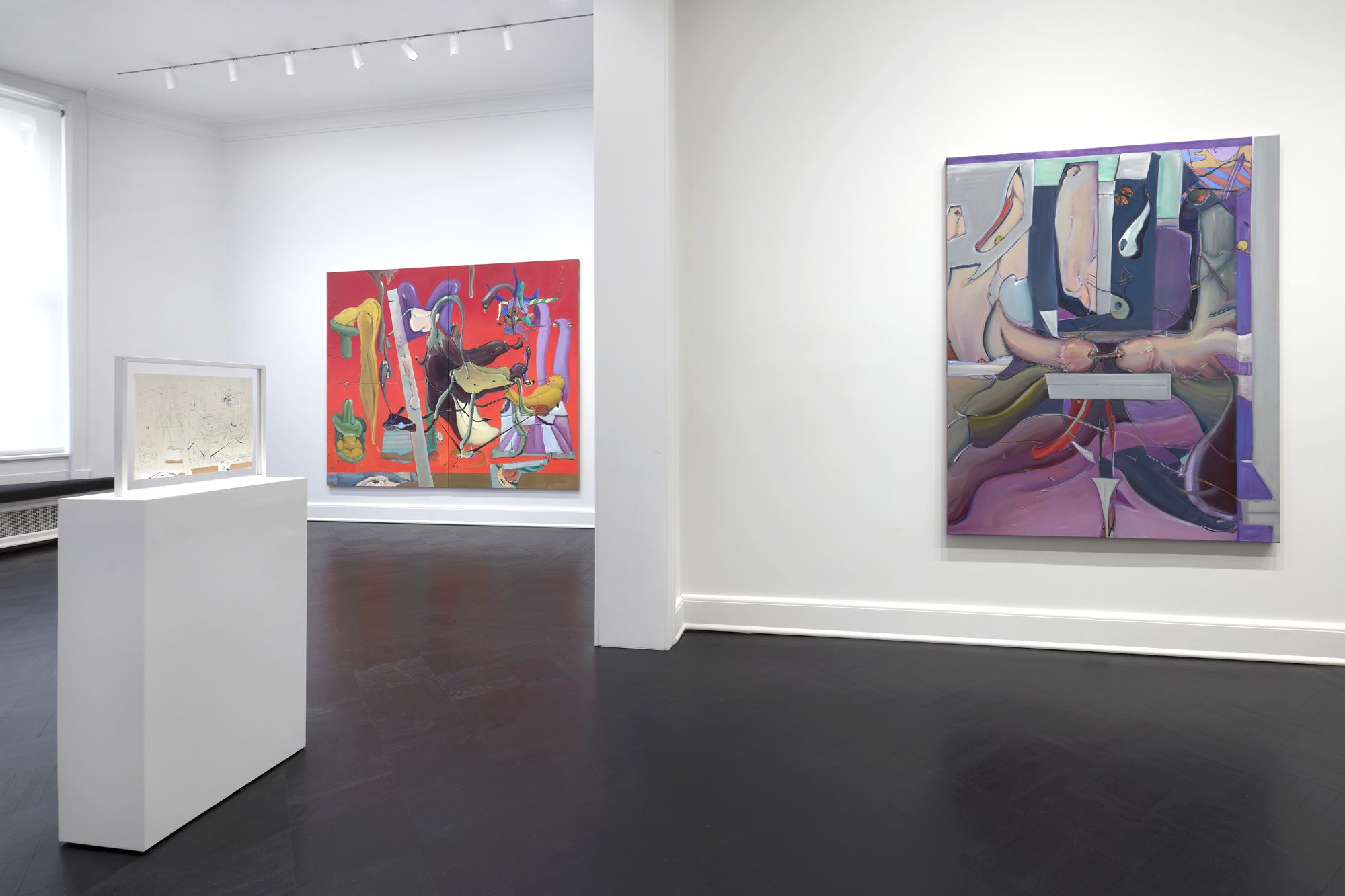 Stefanie Heinze, Frail Juice at Petzel, photo 7