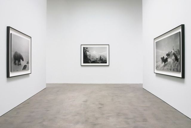 Hiroshi Sugimoto, Still Life at Pace Gallery, photo 4