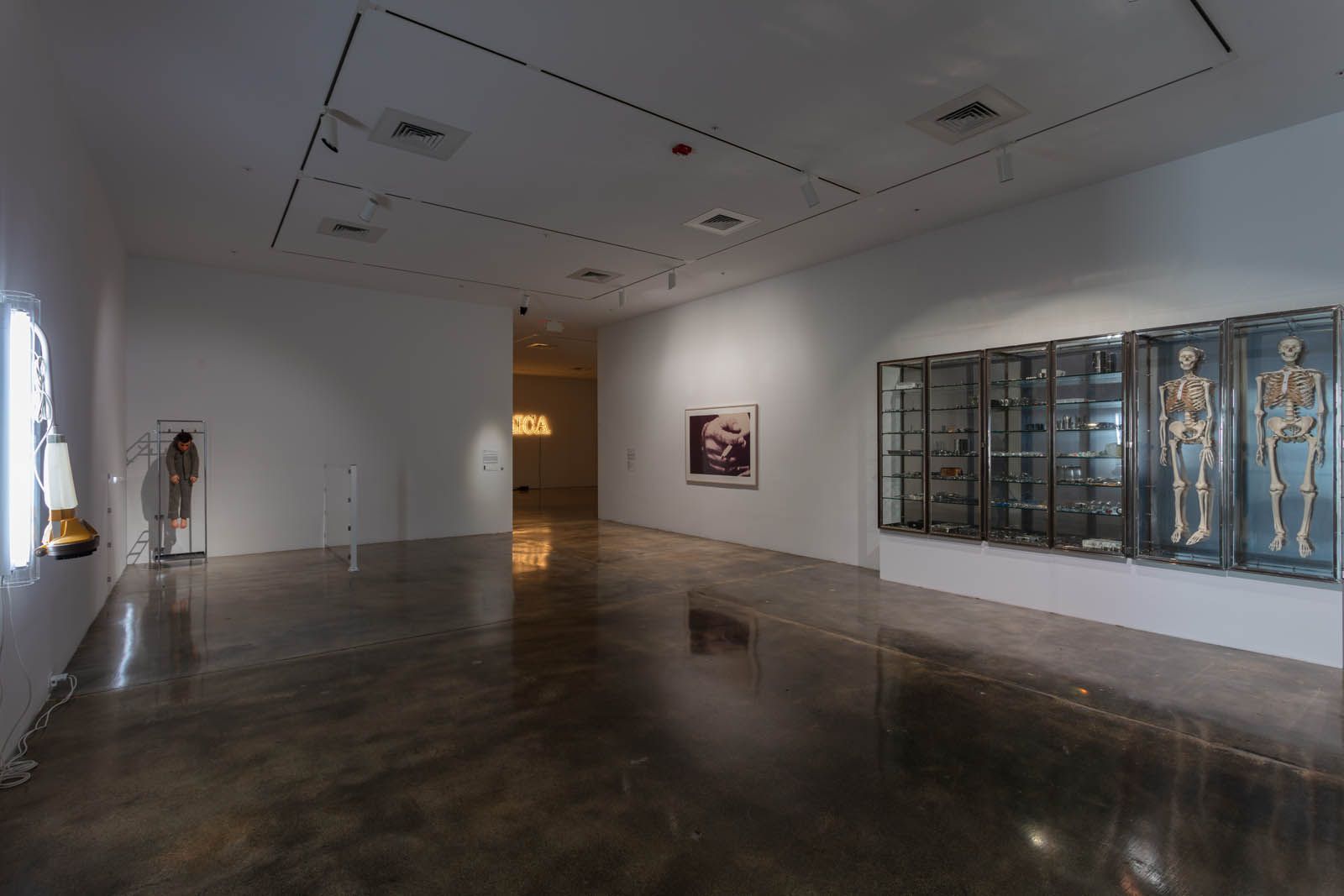 Collection Highlights, Collection Highlights at Rubell Museum, photo 3