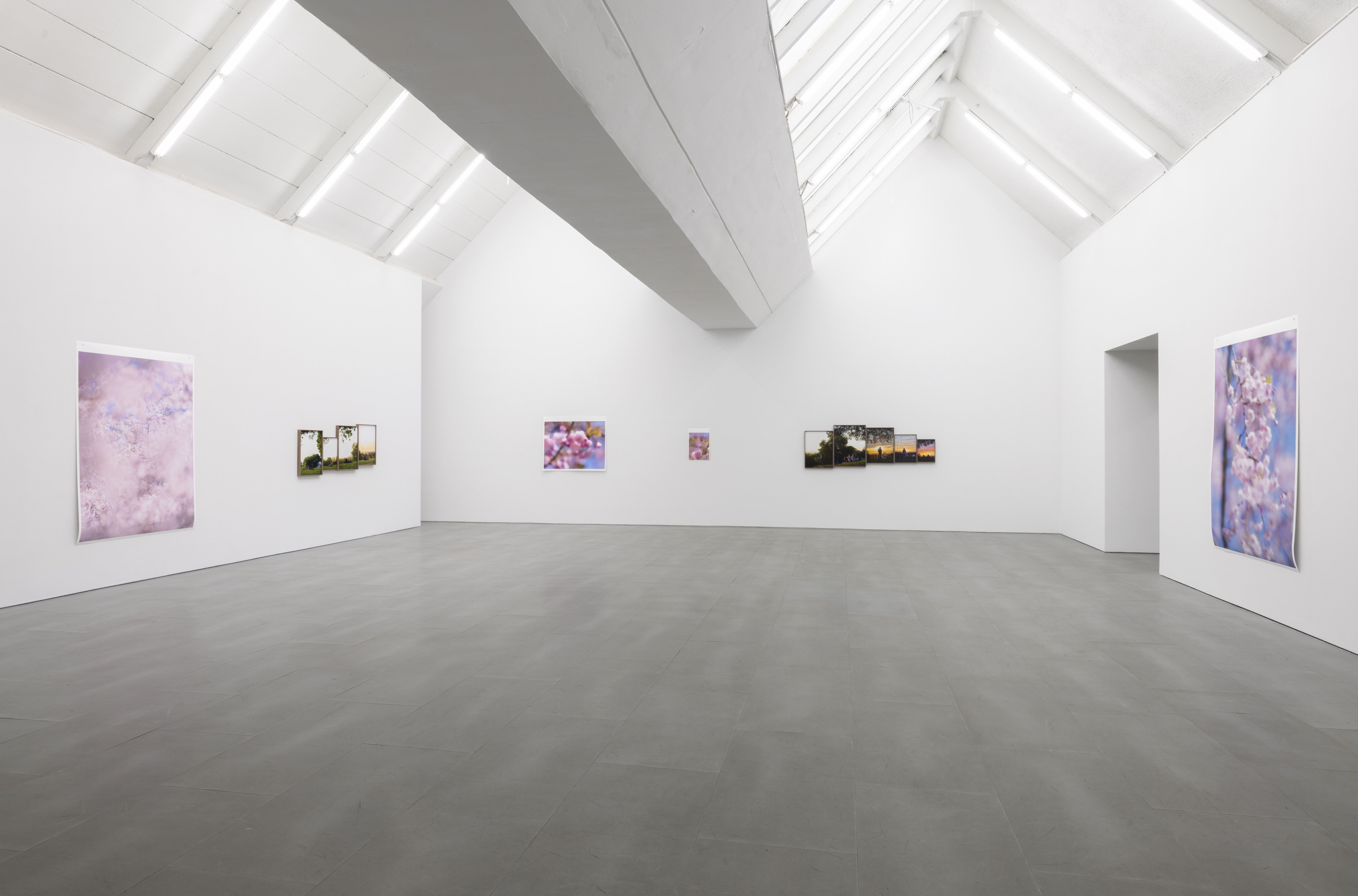 Paul Graham, Verdigris at Carlier Gebauer, photo 2
