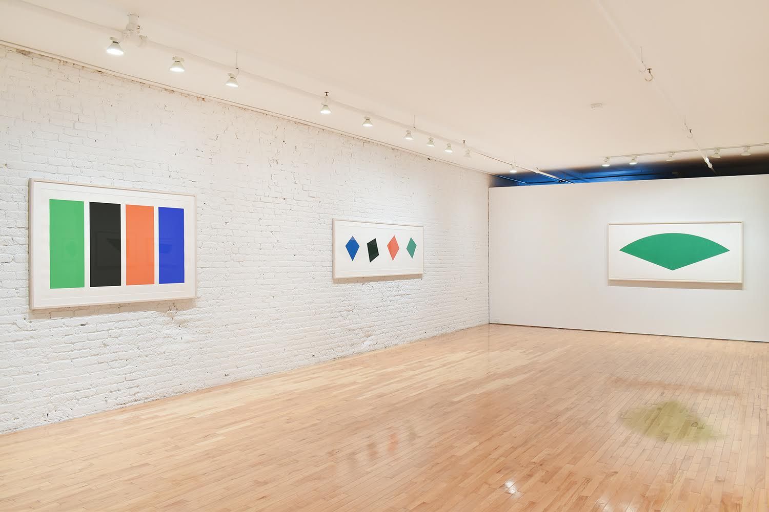 Ellsworth Kelly, An Exploration of Color at Gemini G.E.L. at Joni Moisant Weyl, photo 6
