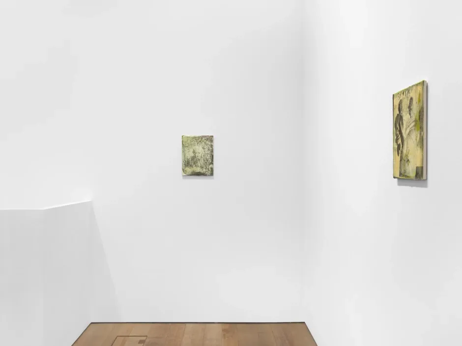 Urs Fischer, Flea Circus at Sadie Coles, photo 4