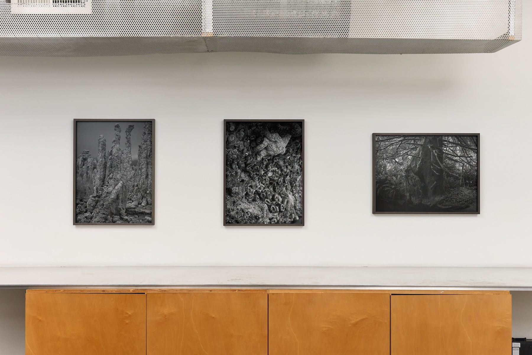 Ron Jude, Low Tide at Gallery Luisotti, photo 5