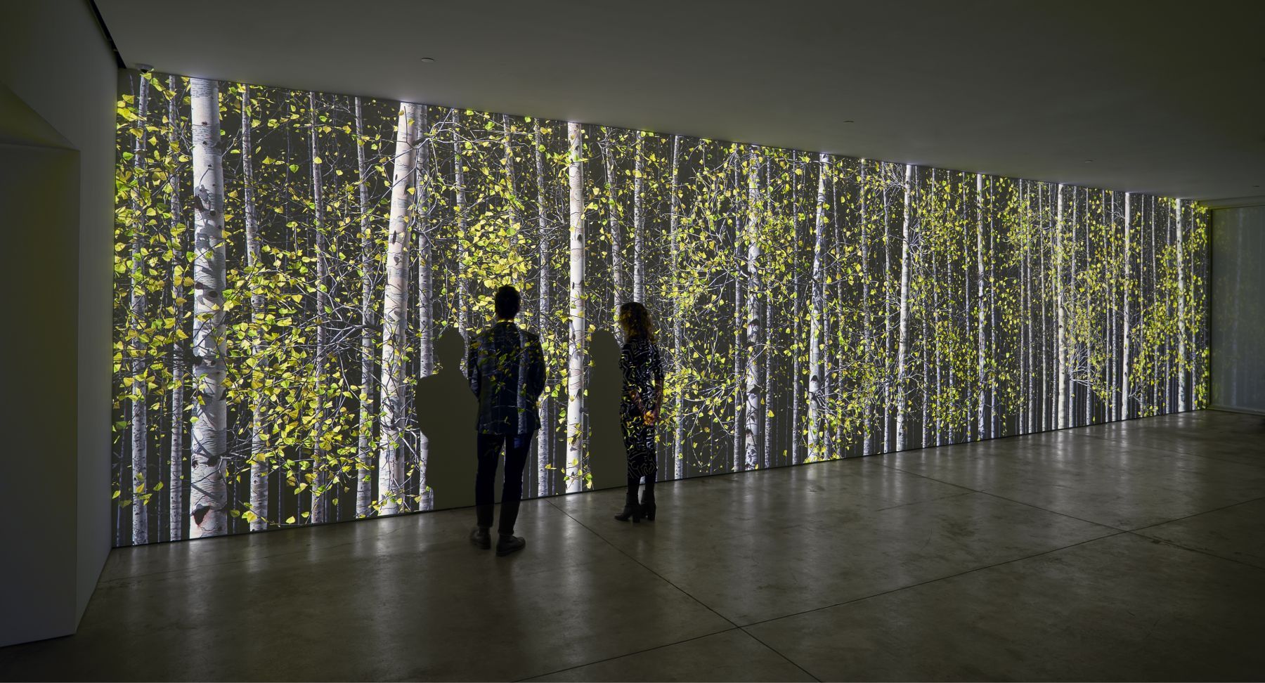 Can It Really Be 20 Years Already? Art in Our Times, Contemporary Masters, and Philanthropy, Can It Really Be 20 Years Already? Art in Our Times, Contemporary Masters, and Philanthropy at Margulies Collection at the Warehouse, photo 3