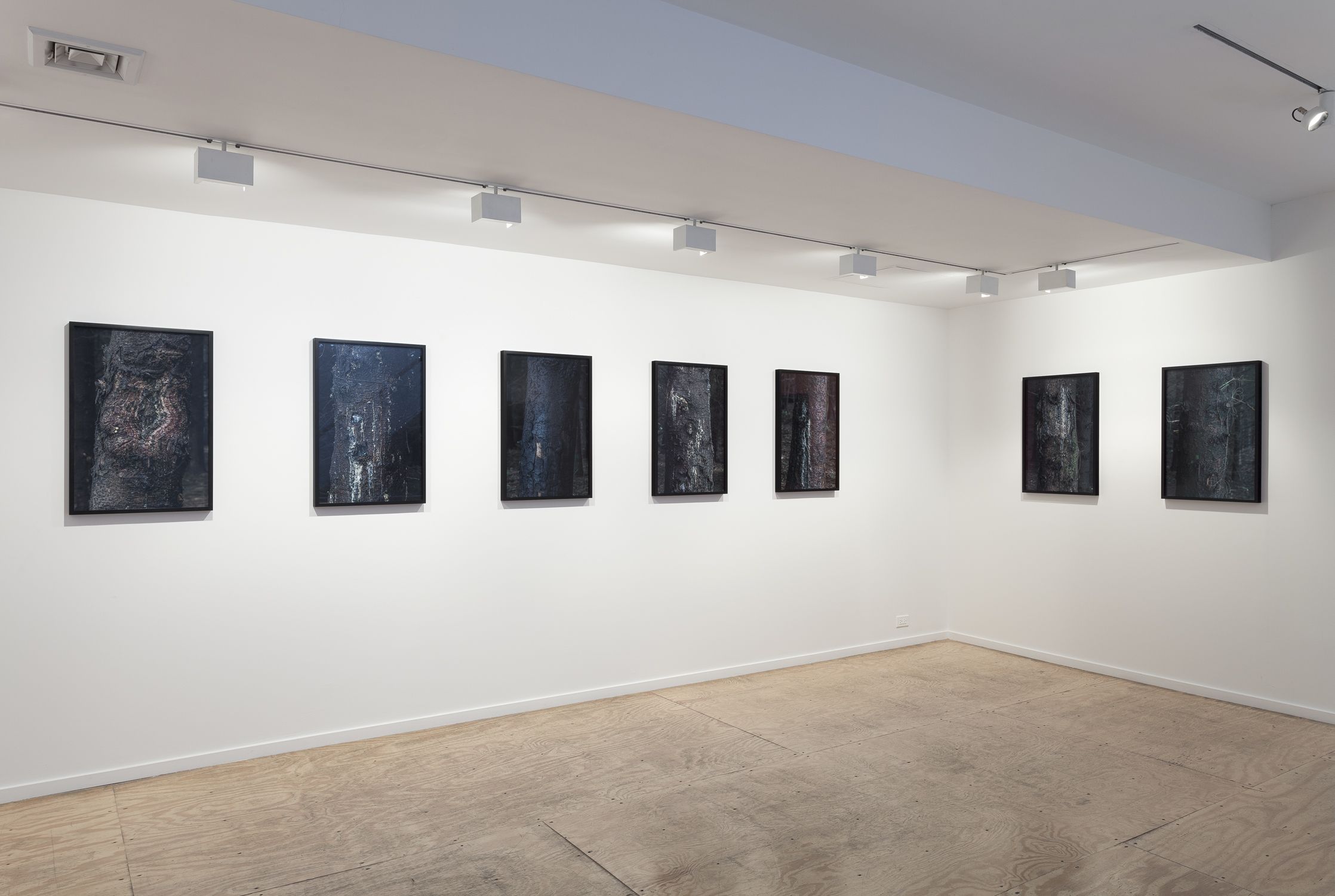 Willie Doherty, Willie Doherty at Alexander and Bonin, photo 7