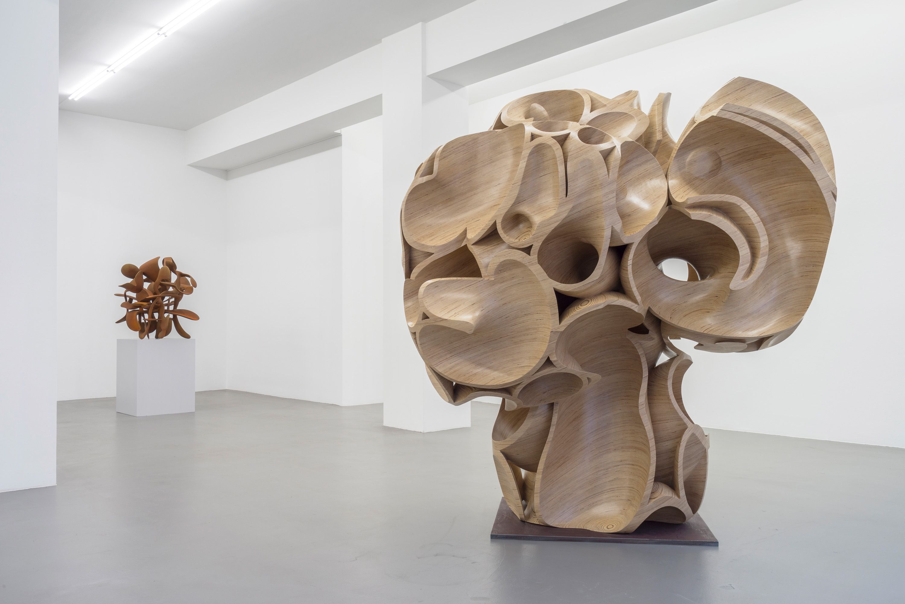 Tony Cragg, Tony Cragg at Buchmann Galerie, photo 2