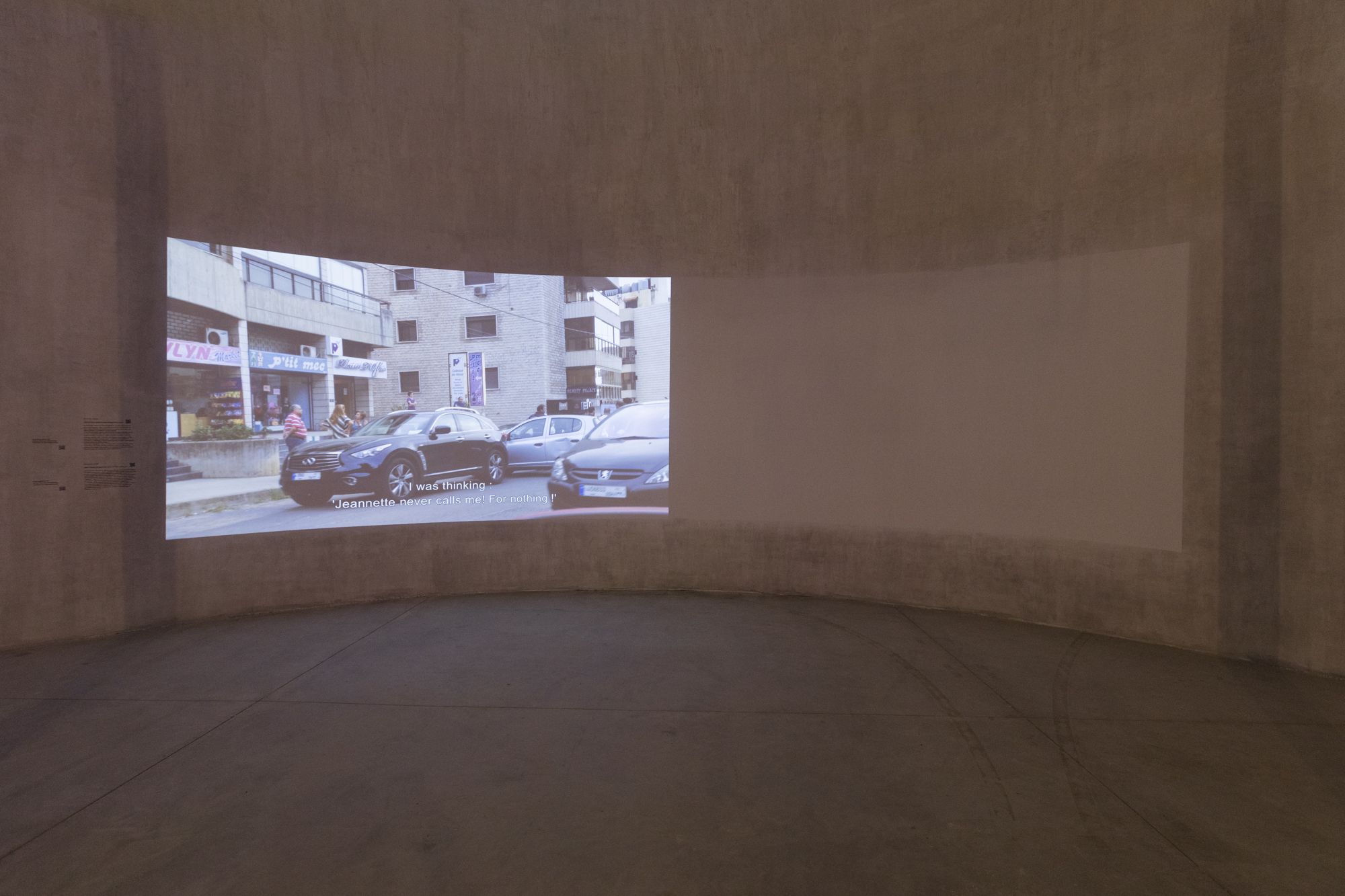 Ayman Baalbaki & Danielle Arbid, The World in the Image of Man at Lebanese Pavilion, photo 4
