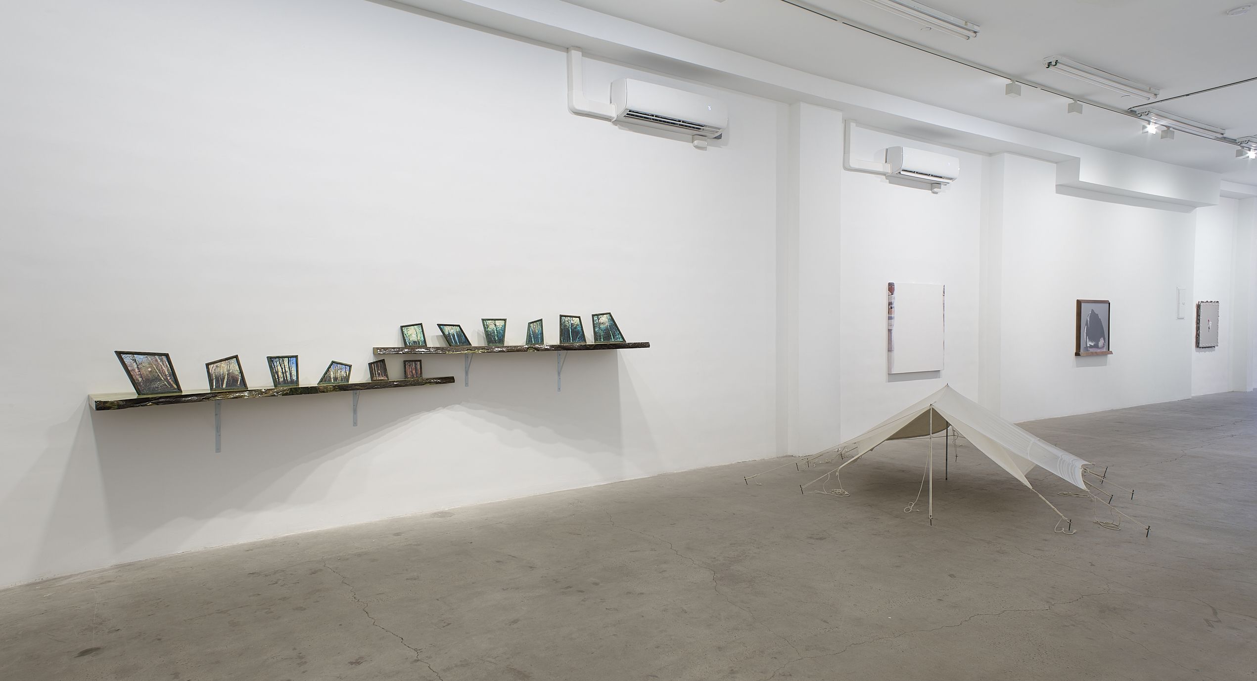 Ger van Elk, Therefore, Art is Splendid at Grimm, photo 3