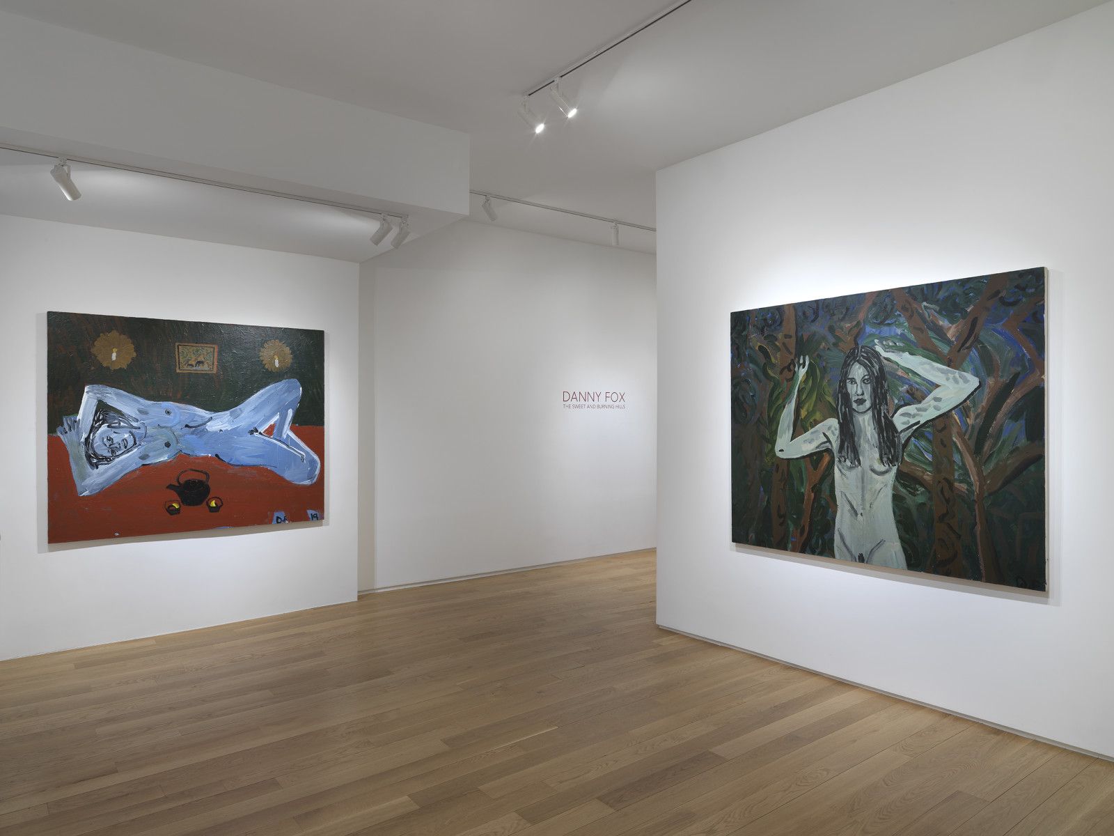 Danny Fox, The Sweet and Burning Hills at Alexander Berggruen, photo 3