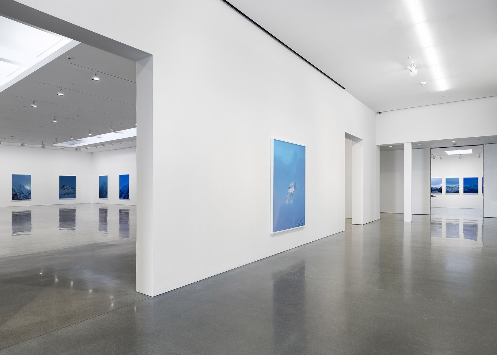 Catherine Opie, Holding Blue at Regen Projects, photo 8