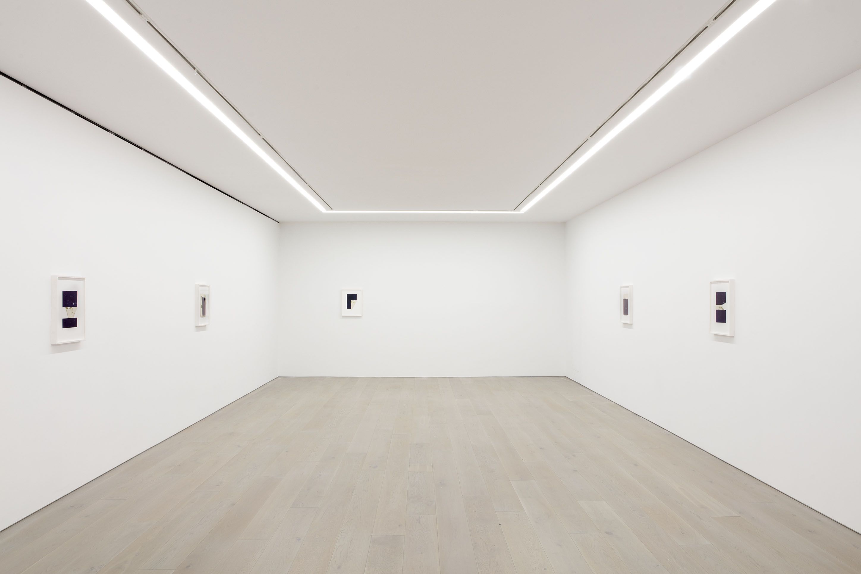 Leslie Hewitt, Anatomy of a Flower and Other Studio Experiments at Perrotin, photo 4