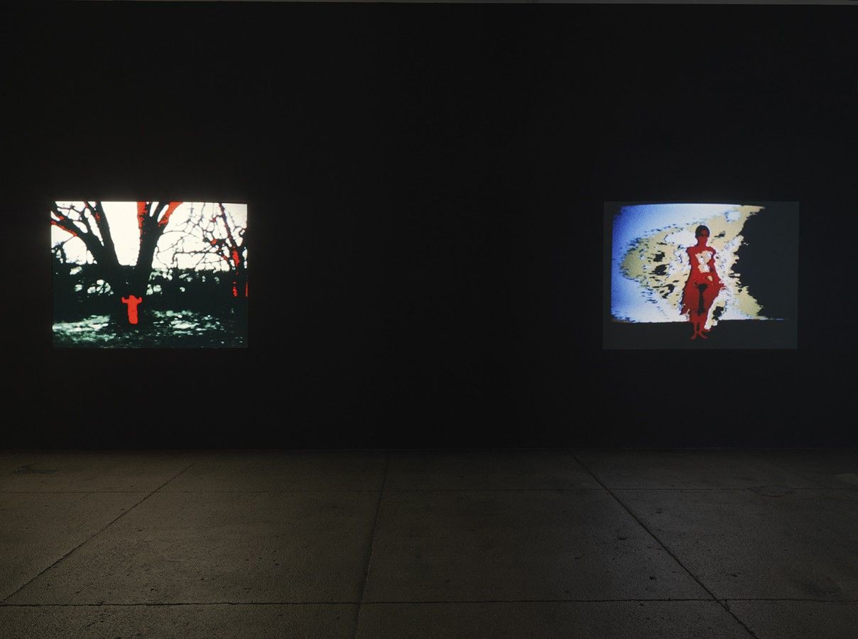 Ana Mendieta, Experimental and Interactive Films at Lelong & Co, photo 8