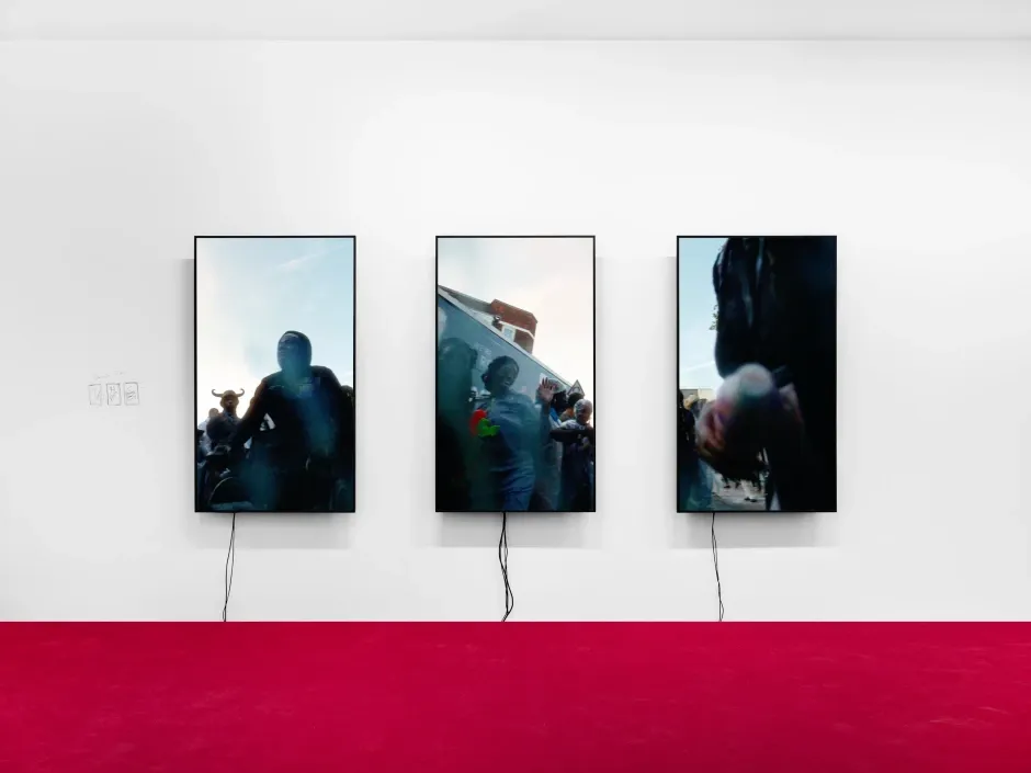 Alvaro Barrington, Grandma’s Land at Sadie Coles, photo 13