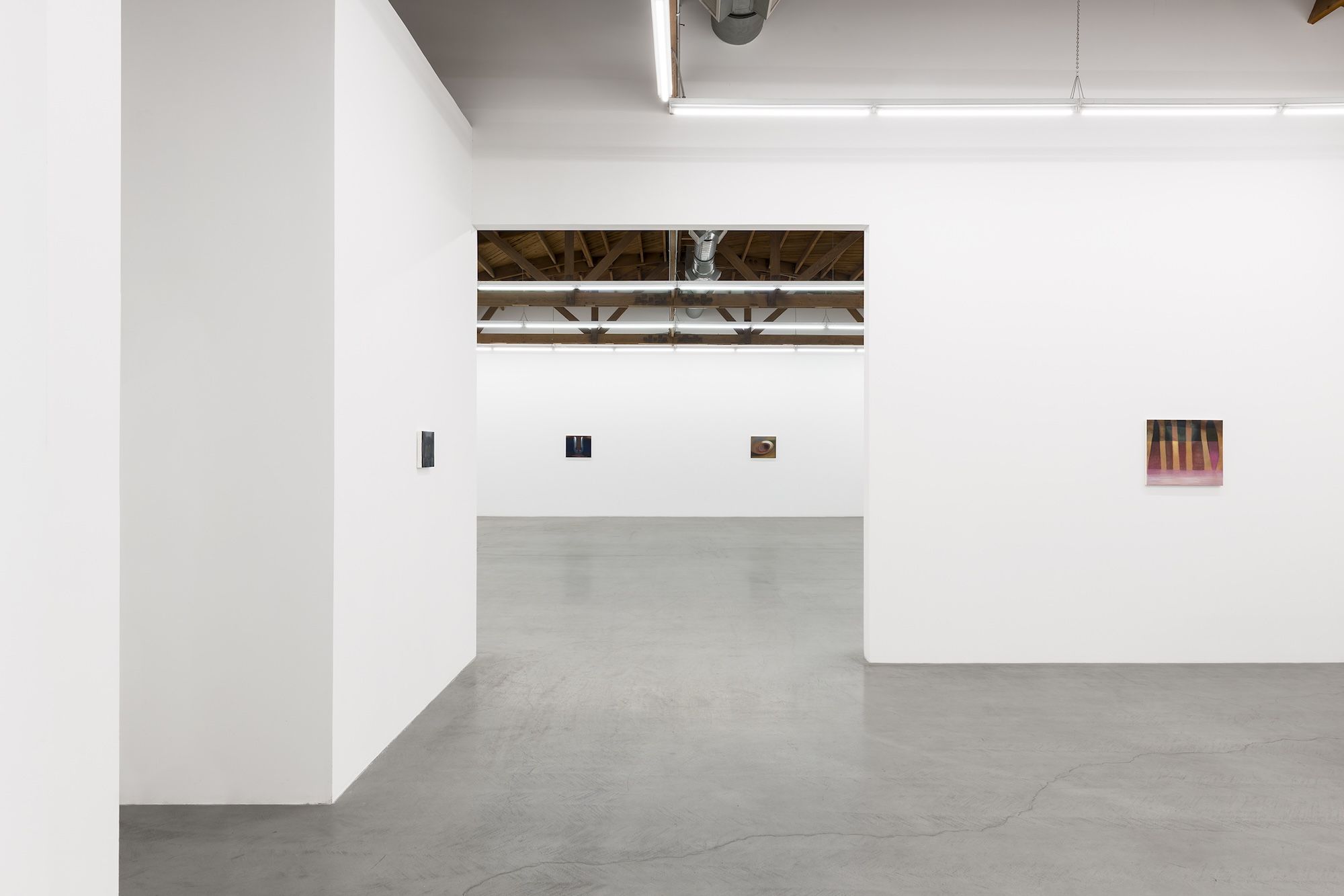 Kristy Luck, Ground for Assumptions at Parrasch Heijnen, photo 4