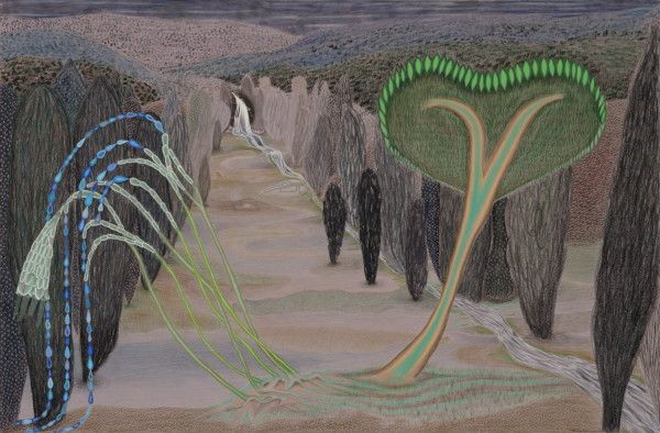 Marcy Hermansader, image 7 of 7
