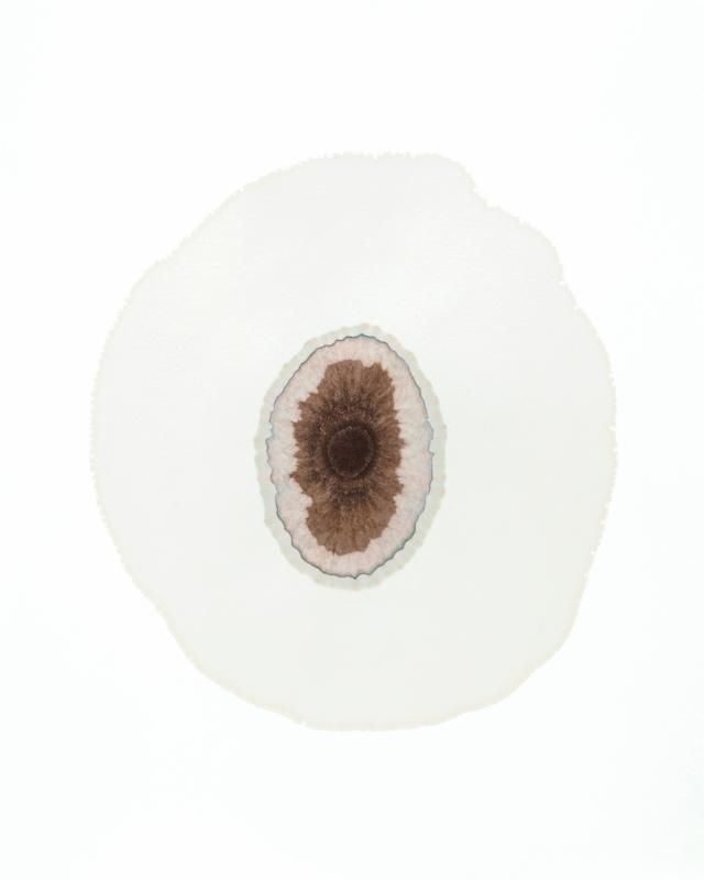Three Exhibitions, Three Exhibitions at Acme, photo 2