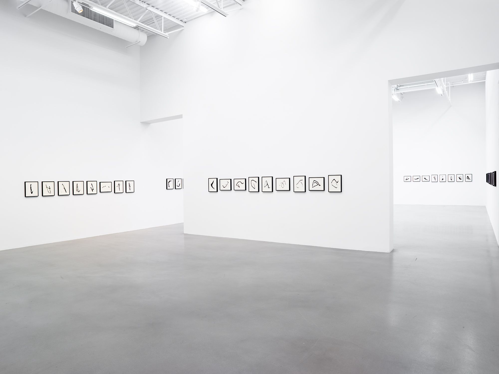 Allan McCollum, Traces: Past and Present at Petzel, photo 12