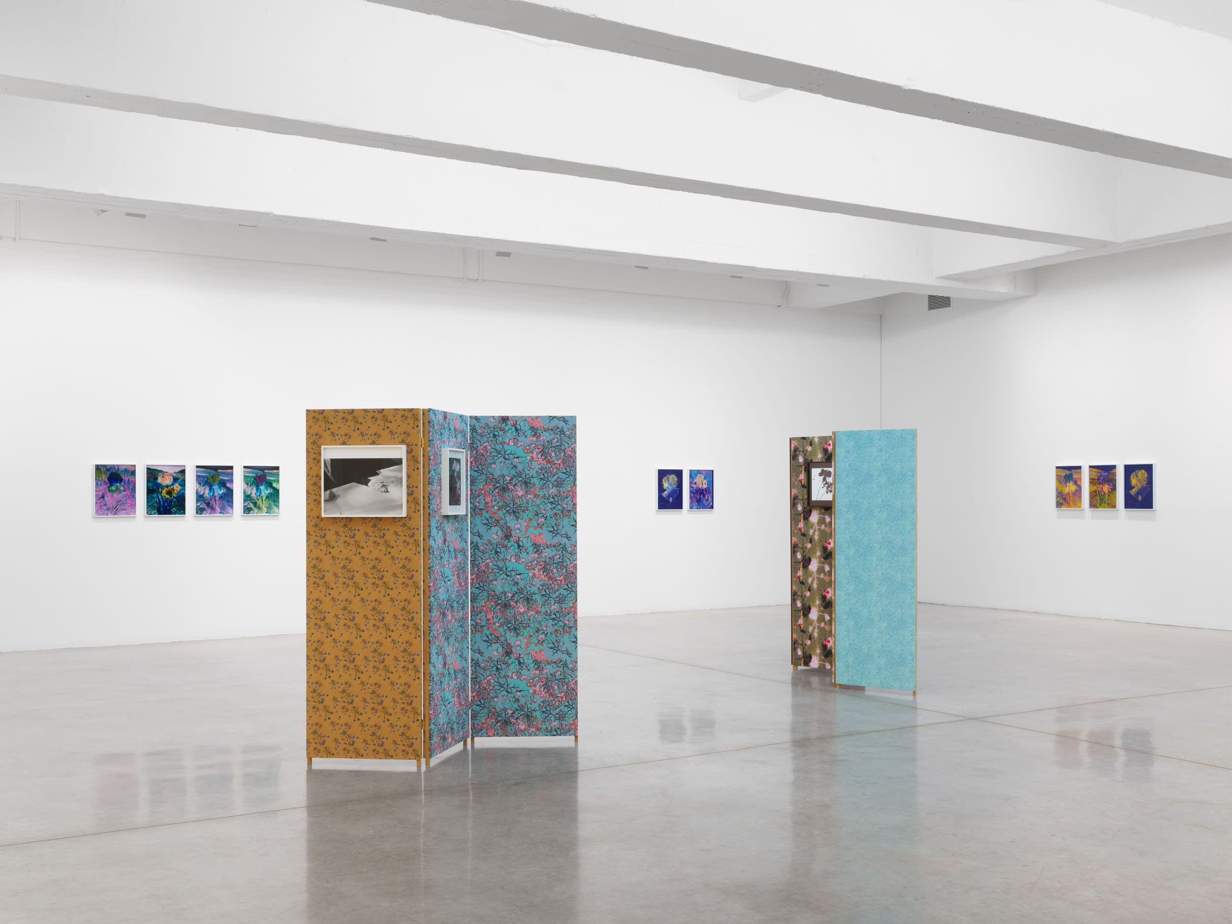 Lisa Oppenheim, Ourselves and the Expression of Ourselves at Tanya Bonakdar, photo 2