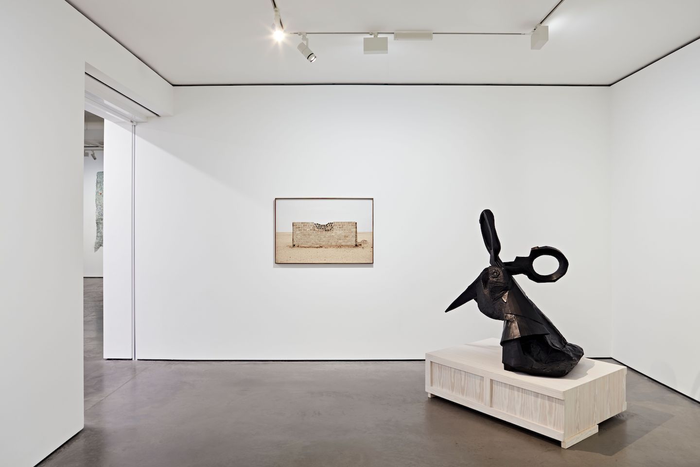Irapuru, Irapuru at Goodman Gallery, photo 11